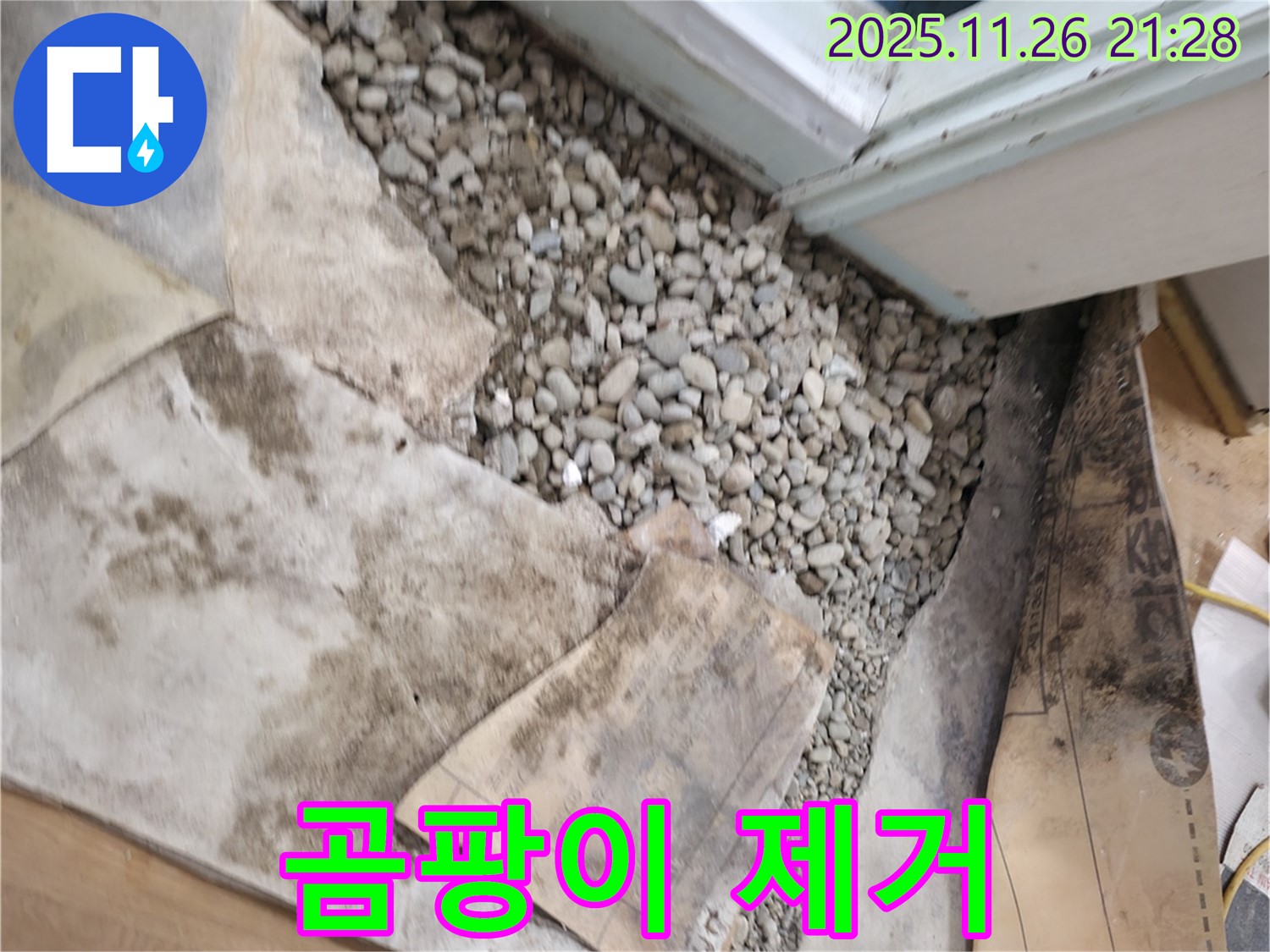 서초구 서초동 누수 - 곰팡이 제거 - 건강 위협