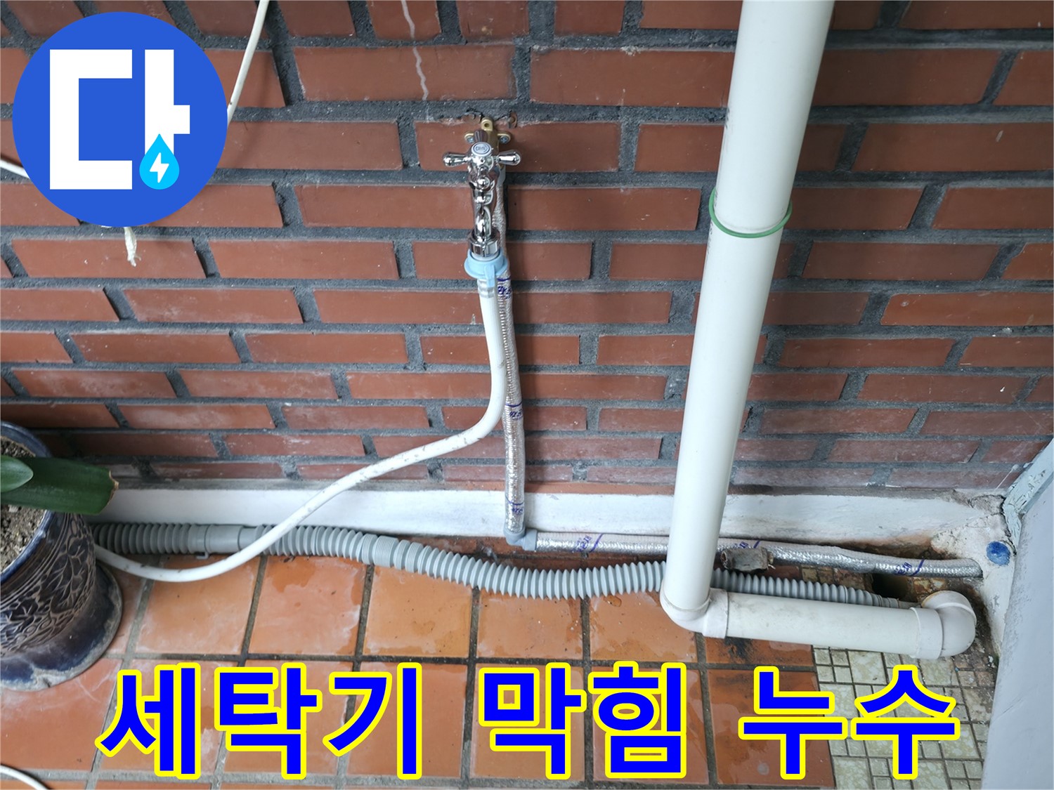 서초구 세탁기 배수구 막힘으로 인한 역류 누수 - 배수구 청소 및 점검