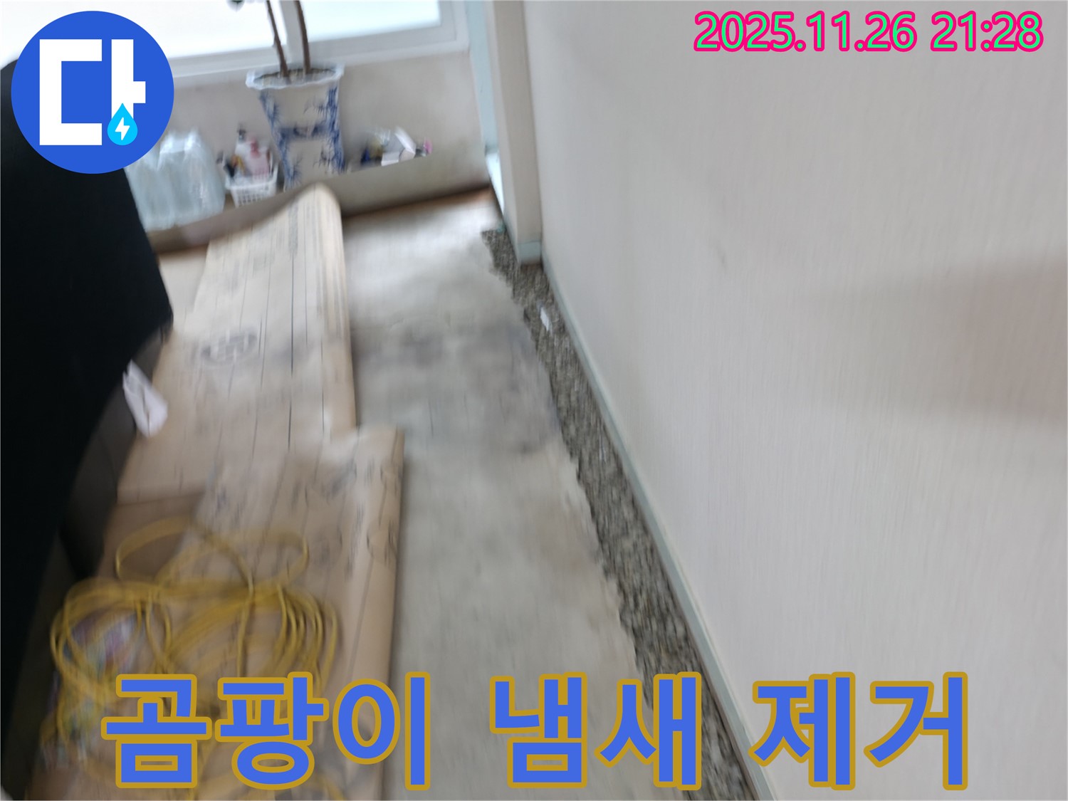 서초동 명달로4길 곰팡이 냄새 제거 - 장판 밑 누수 해결로 쾌적하게!