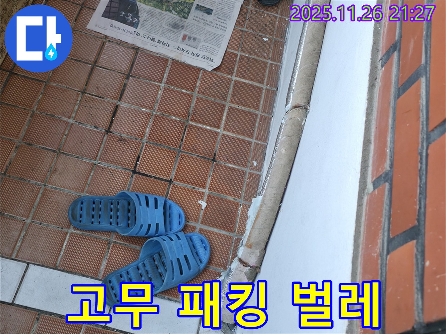 서초동 명달로4길 현관 누수 현장 - 고무 패킹 손상으로 인한 벌레 유입