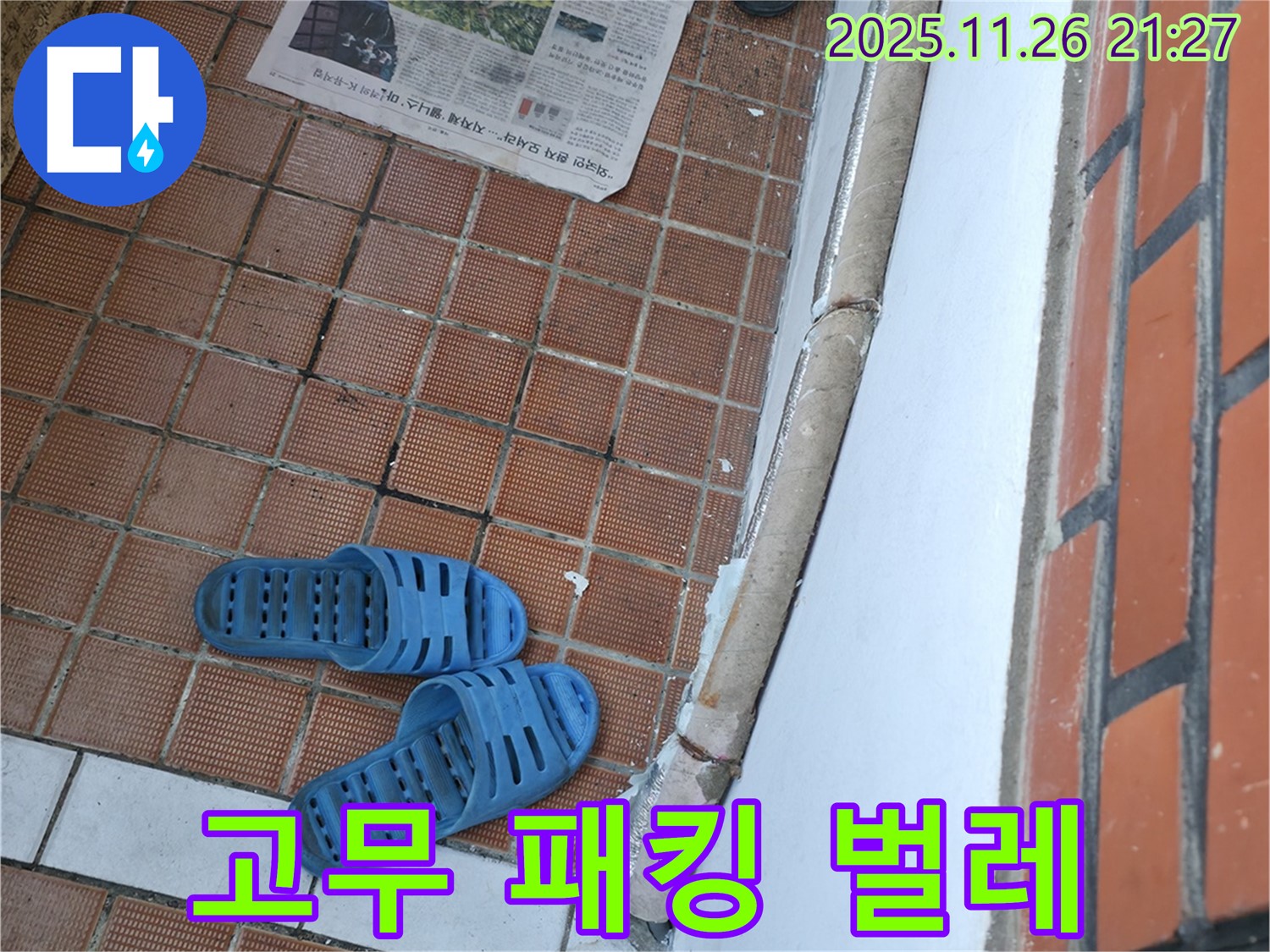 서초동 명달로4길 현관 누수 현장 - 고무 패킹 손상으로 인한 벌레 유입