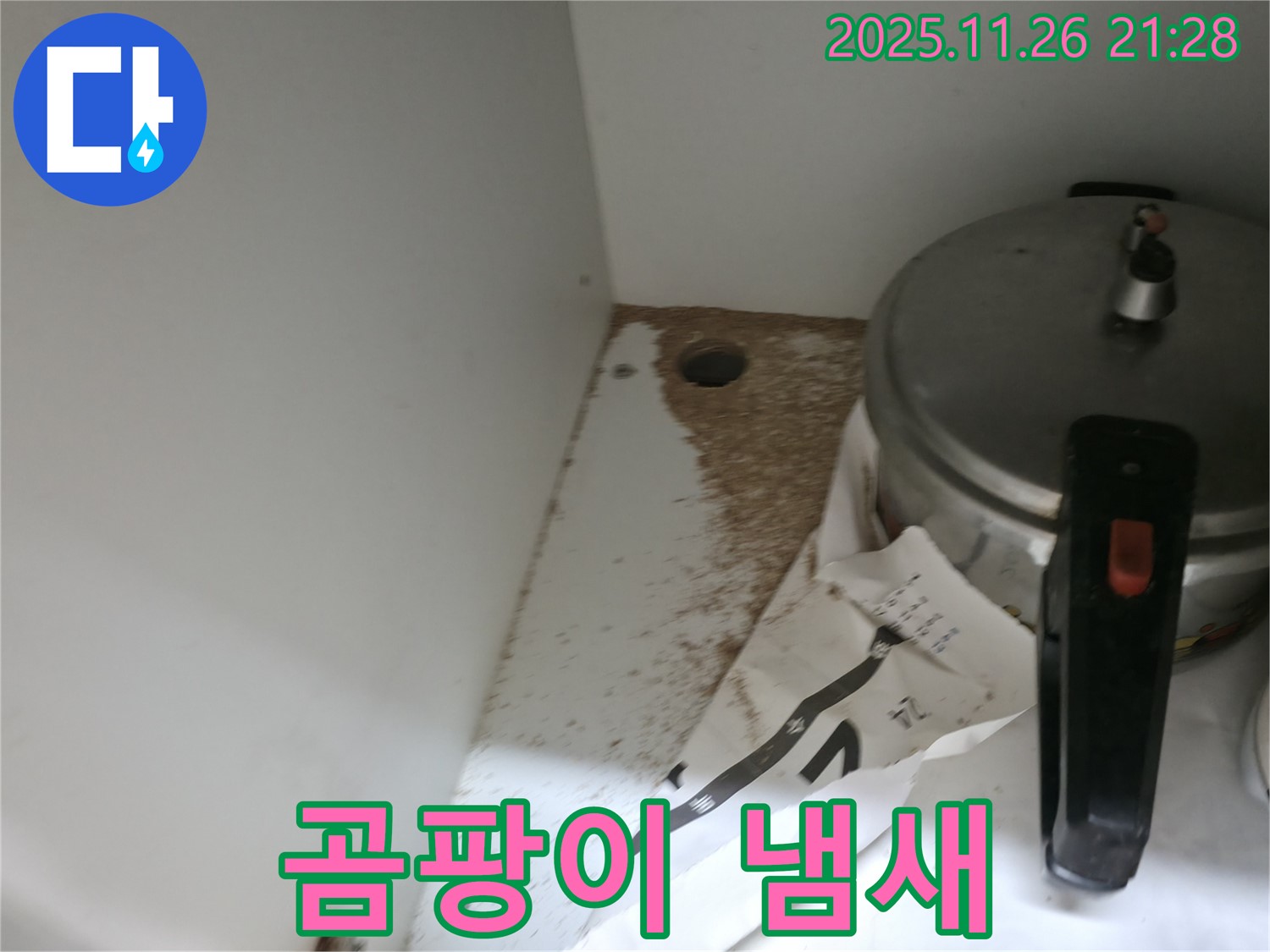싱크대 밑 - 톱밥 - 곰팡이 냄새 - 건강 위협