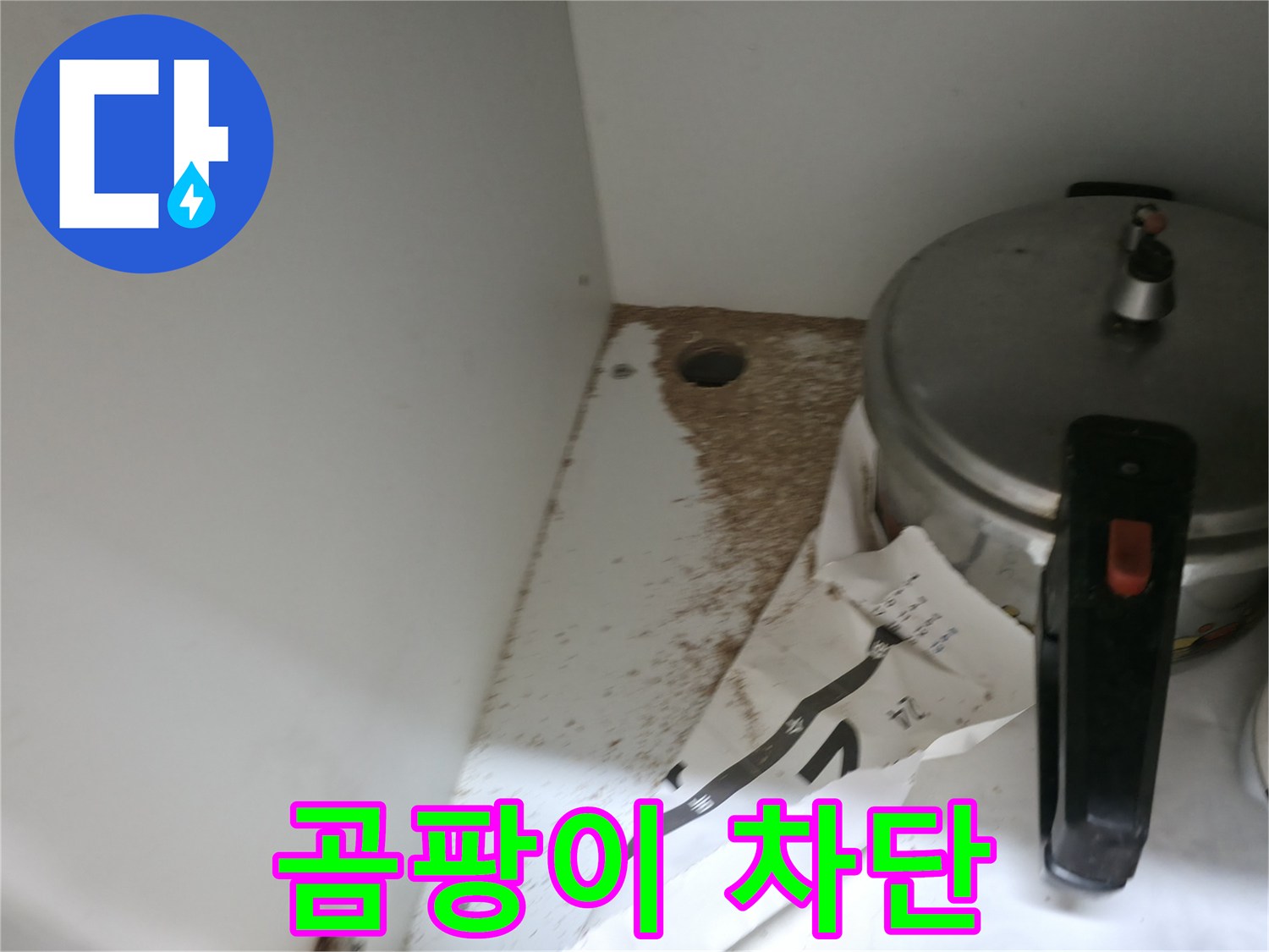 싱크대 밑 - 톱밥 - 곰팡이 주의 - 건강 위협
