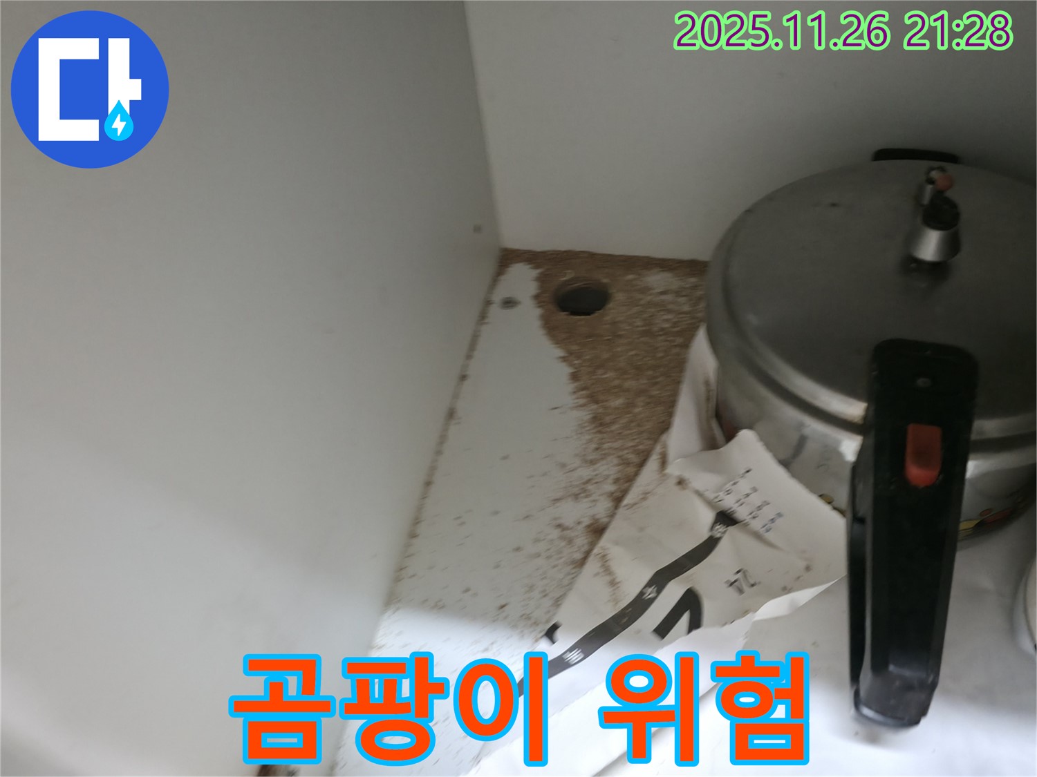 싱크대 밑 - 톱밥 - 습기 - 곰팡이 번식 위험