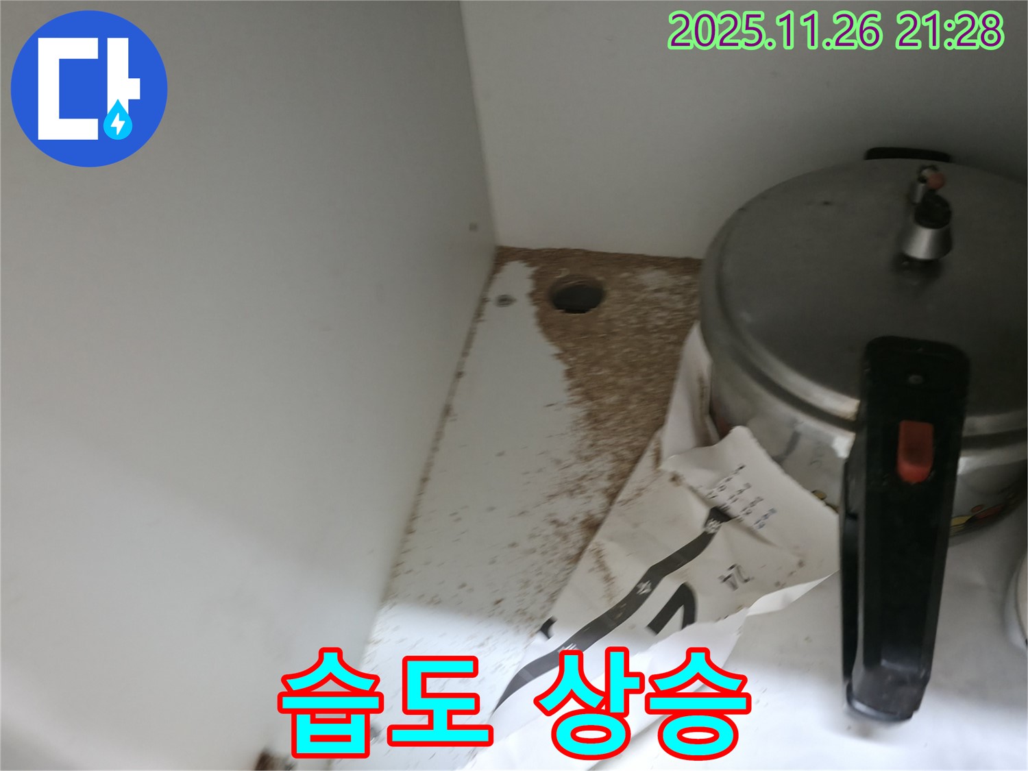 싱크대 밑 - 톱밥 - 습도 상승 - 곰팡이 번식