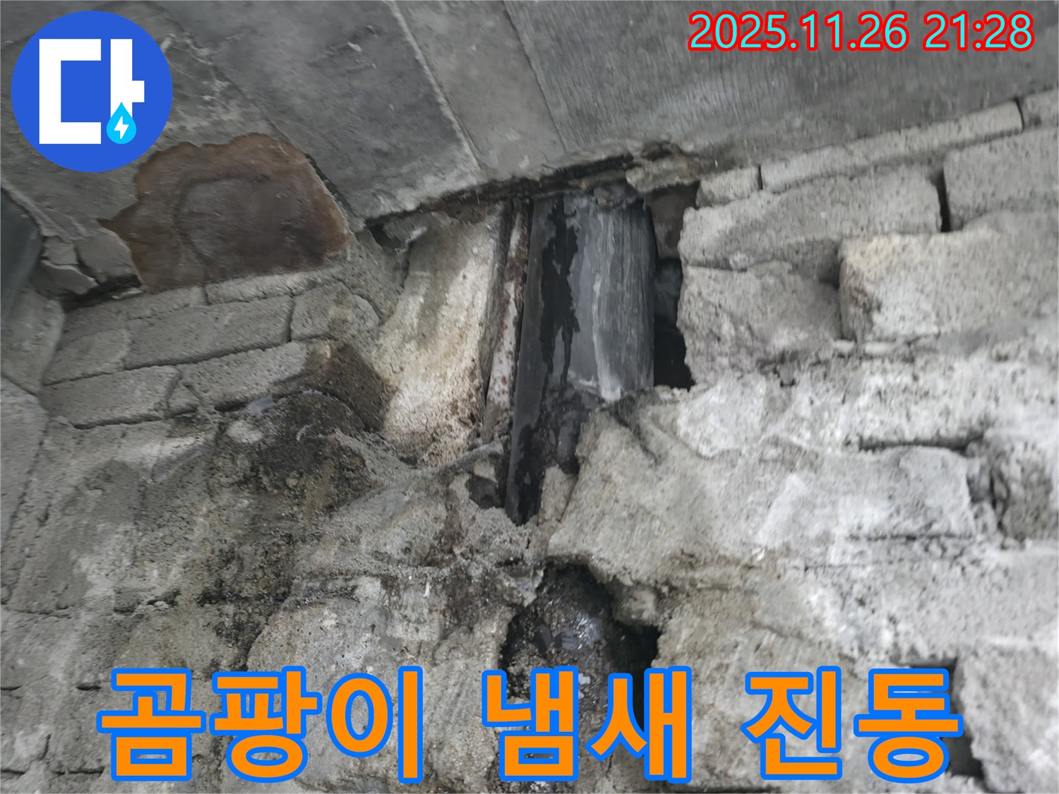 외벽 누수 곰팡이 냄새 - 불쾌감 유발