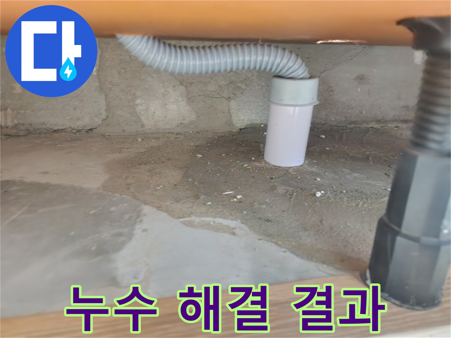 정화조 배수관에서 발생한 누수 - 공릉동 주택 누수탐지 및 빠른 해결