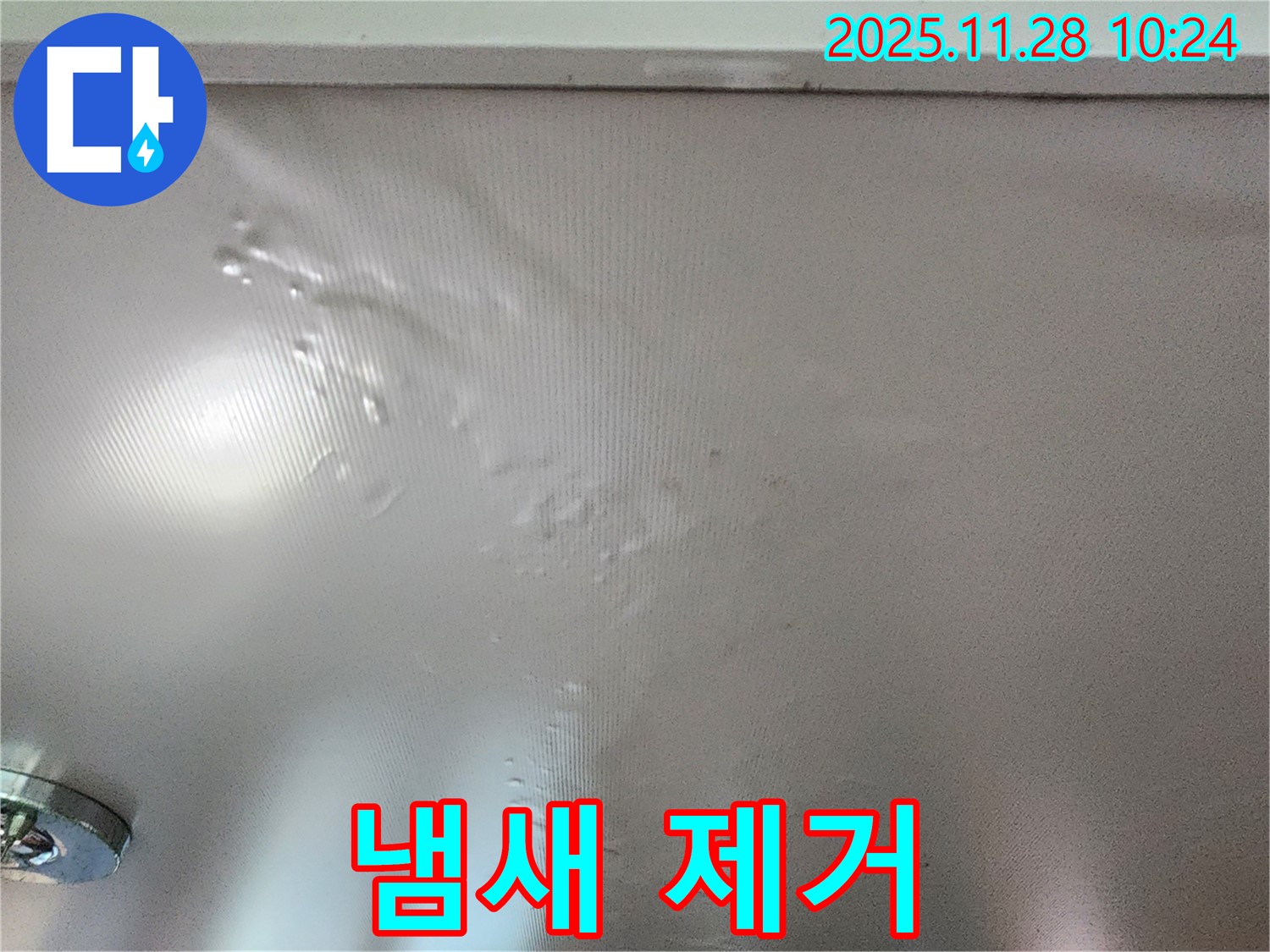 곰팡이 핀 벽 - 냄새 때문에 힘드시죠?