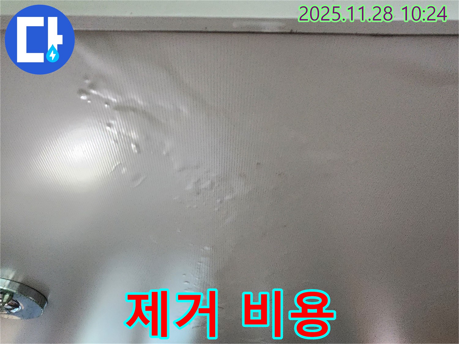 곰팡이 핀 벽 제거 비용 문의하세요.