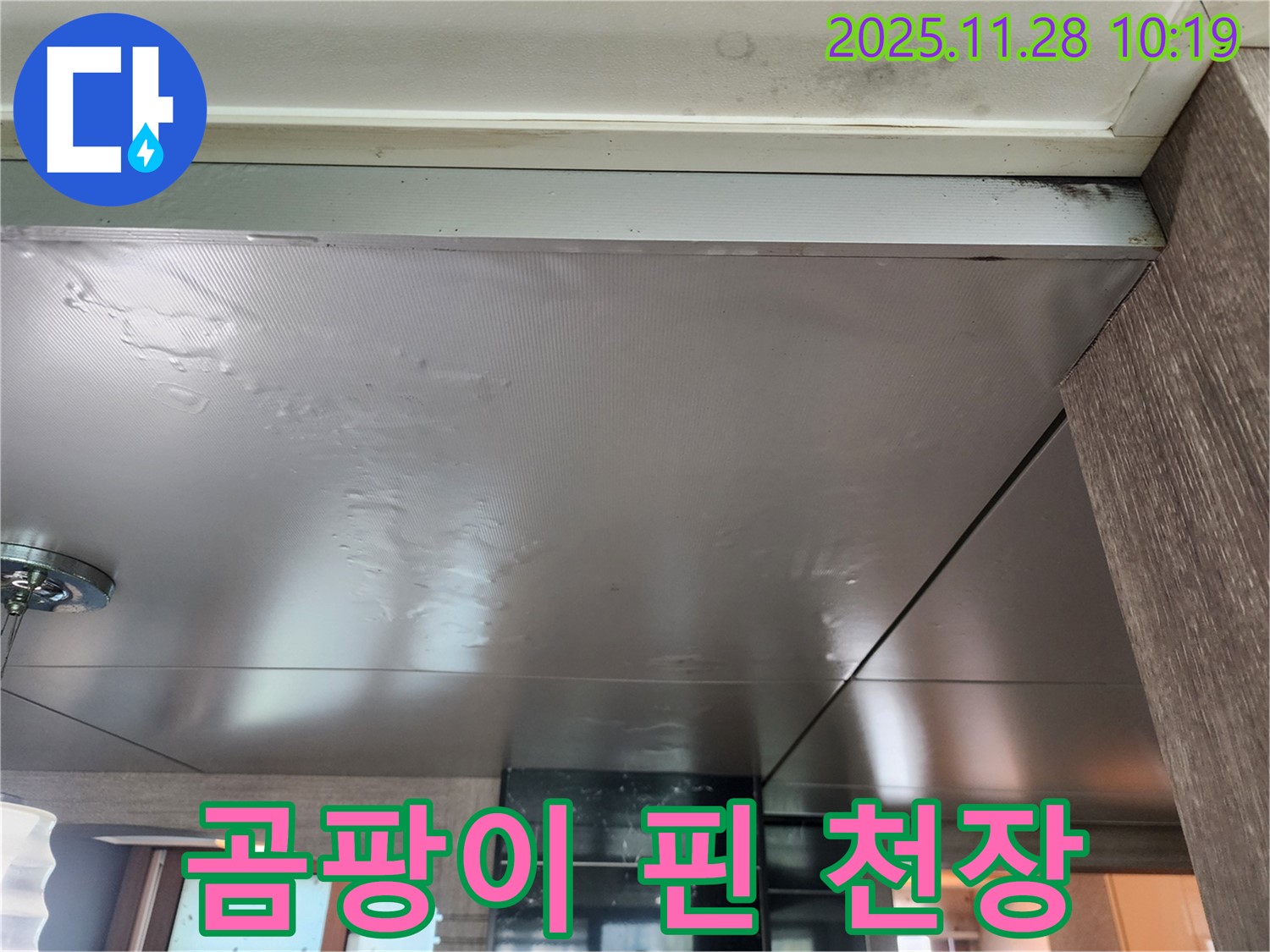 곰팡이 핀 천장 - 누수로 인해 곰팡이가 심하게 핀 천장 - 누수 해결과 곰팡이 제거가 필수입니다.