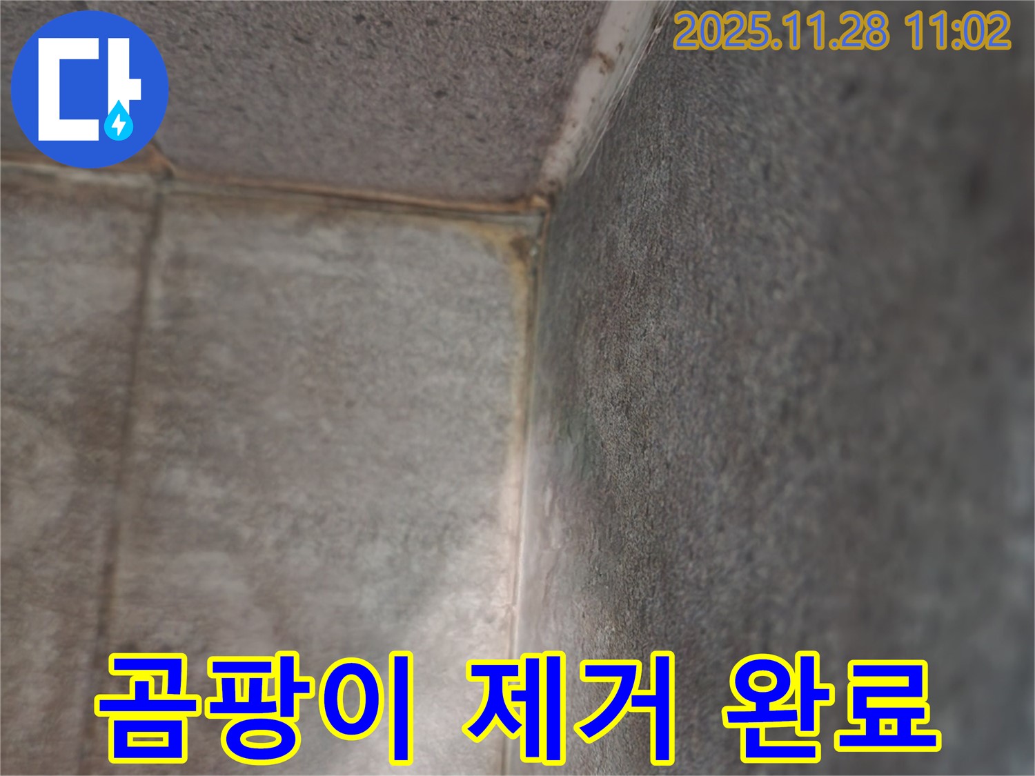 금동리 누수 현장 - 곰팡이 제거 및 완벽한 해결 과정