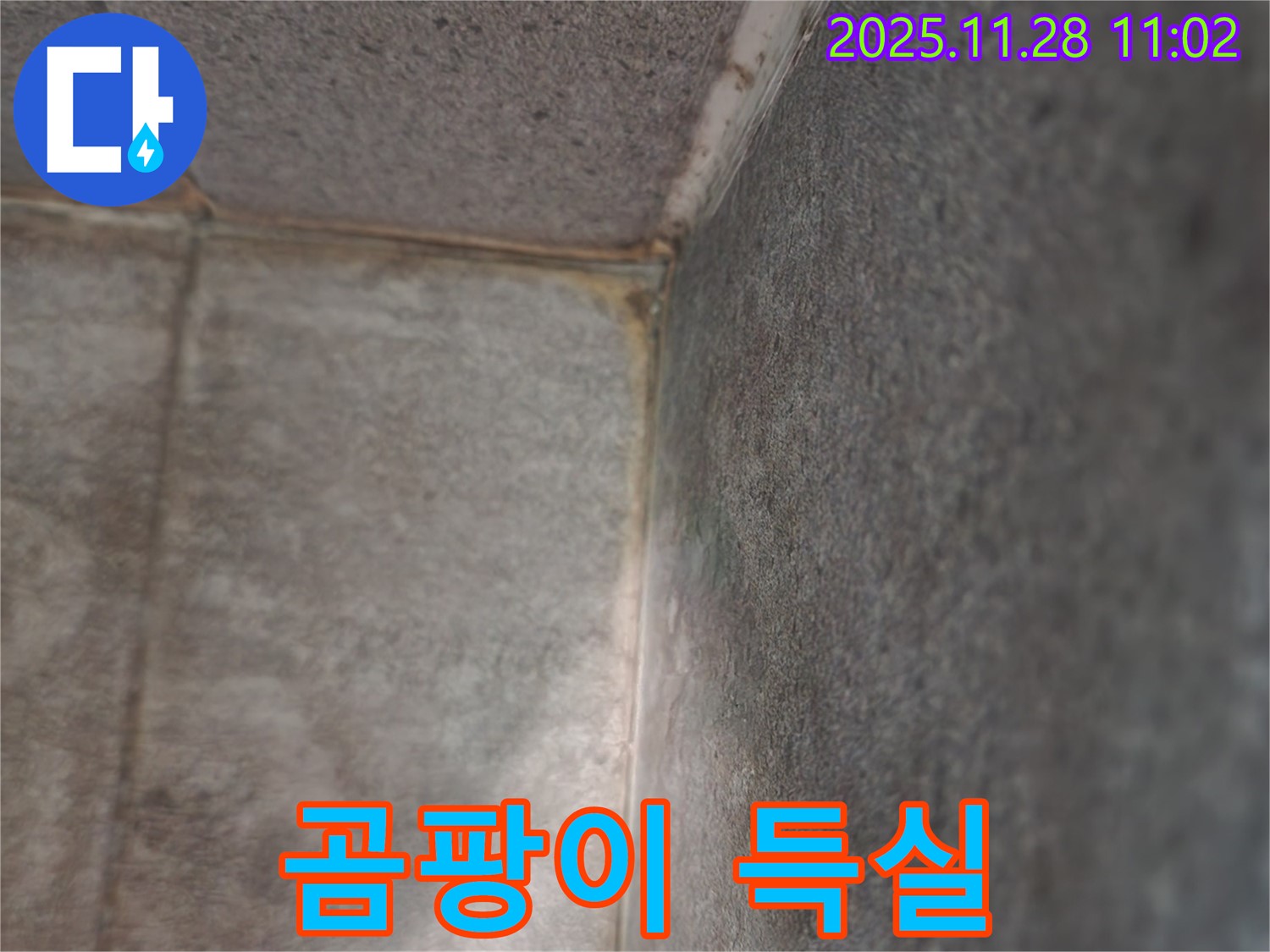신북면 금동리 욕실 누수 - 곰팡이 득실, 쾌적 변신