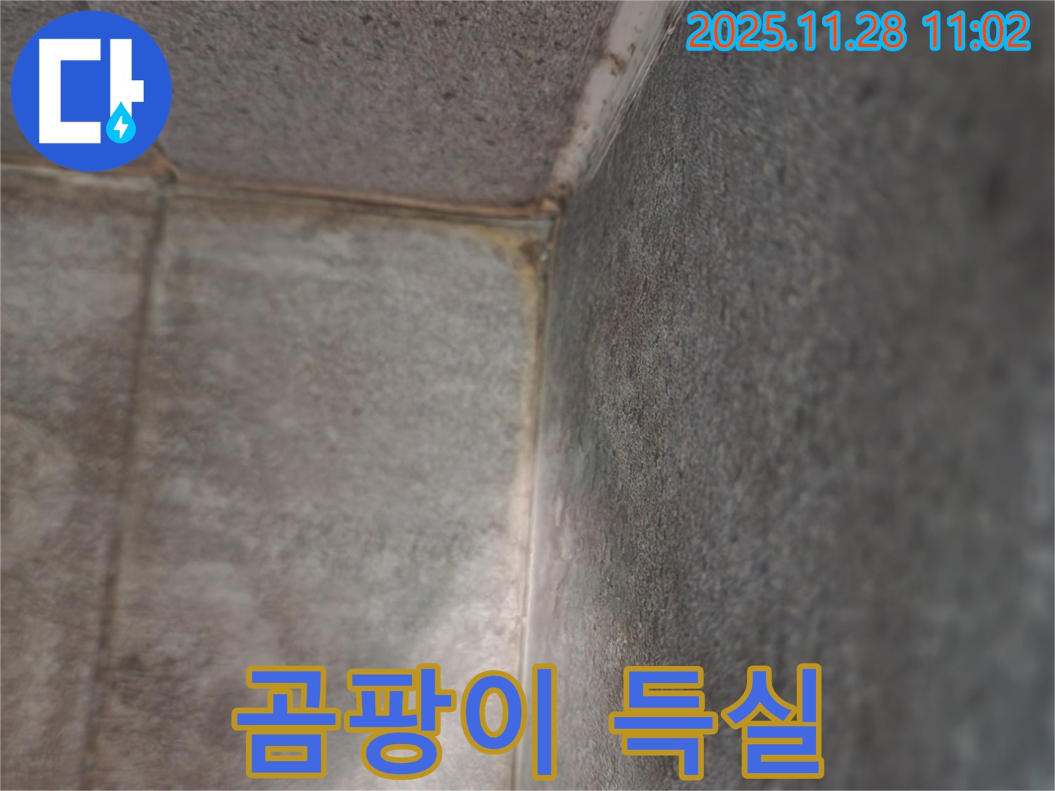 신북면 금동리 욕실 누수 - 곰팡이 득실, 쾌적 변신
