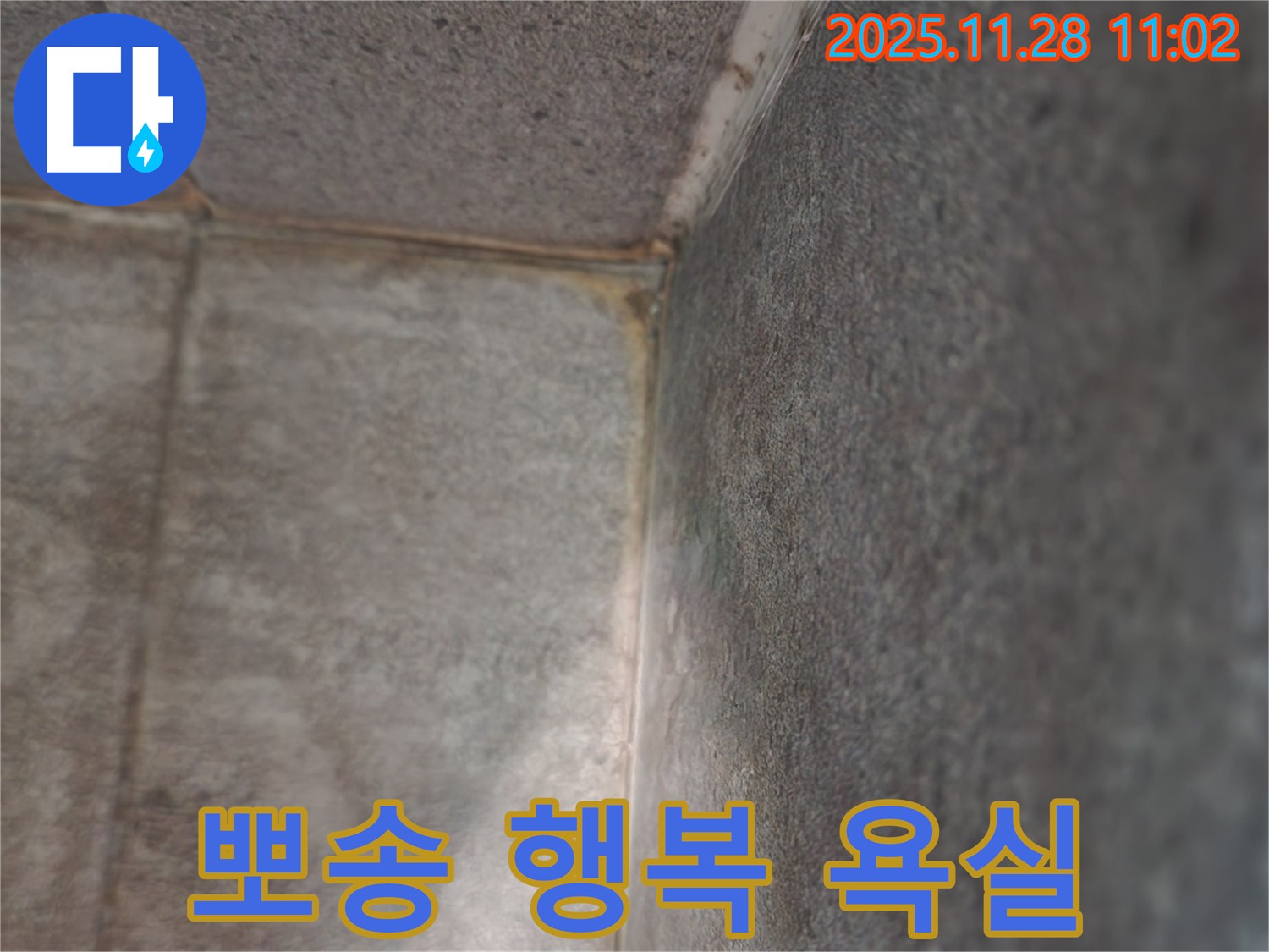 신북면 금동리 욕실 누수 - 곰팡이 전쟁 승리, 뽀송 행복