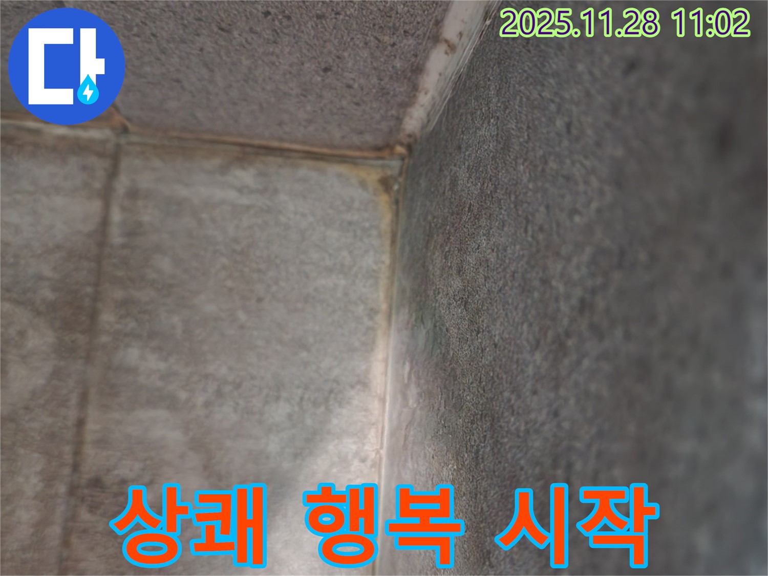 신북면 금동리 욕실 누수 - 곰팡이 탈출, 상쾌한 행복 시작