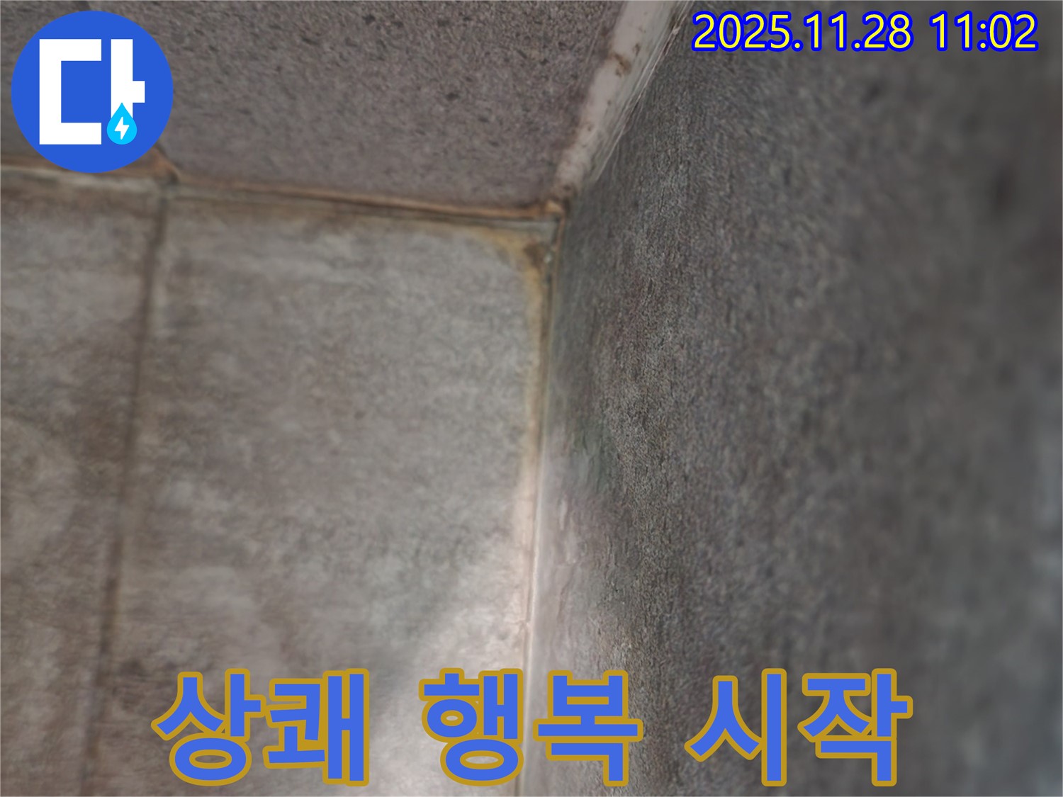 신북면 금동리 욕실 누수 - 곰팡이 탈출, 상쾌한 행복 시작