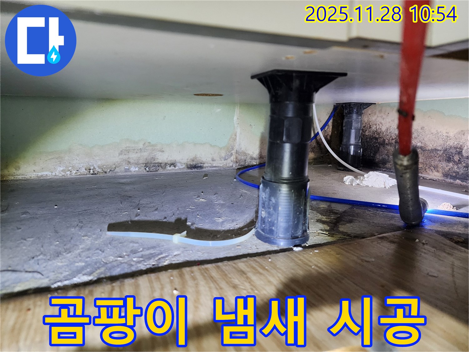 싱크대 하부 곰팡이 - 냄새 제거, 건강, 쾌적, 안심