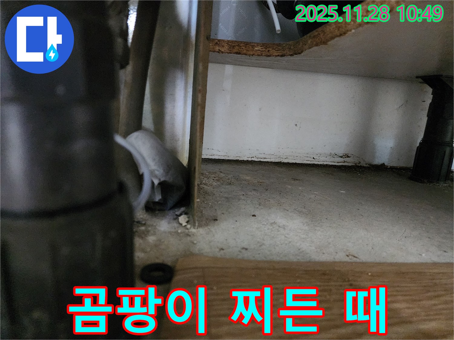 싱크대 하부 - 곰팡이, 찌든 때, 누수 의심