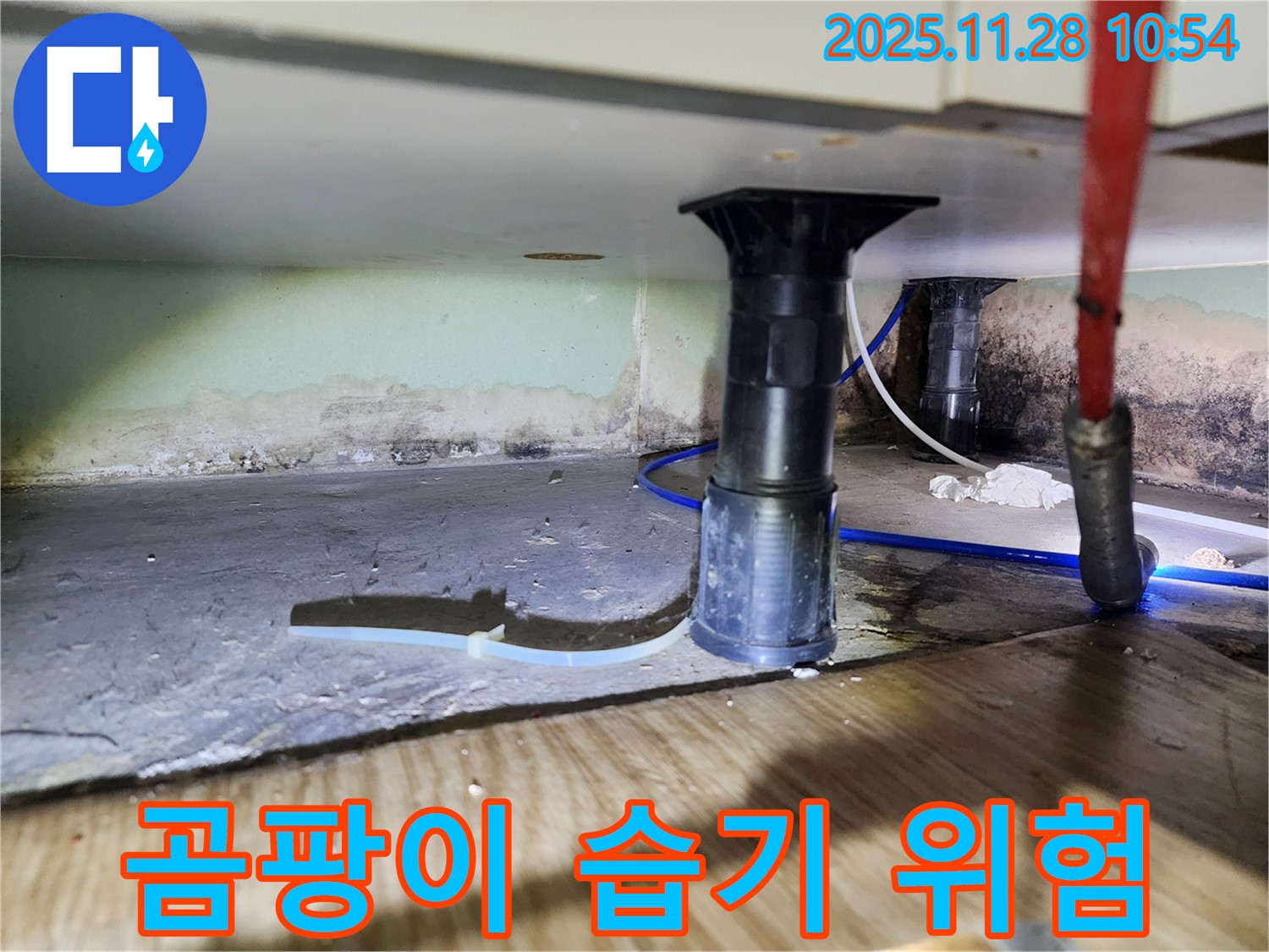 싱크대 하부 누수 - 곰팡이, 습기, 악취 위험, 사전 점검