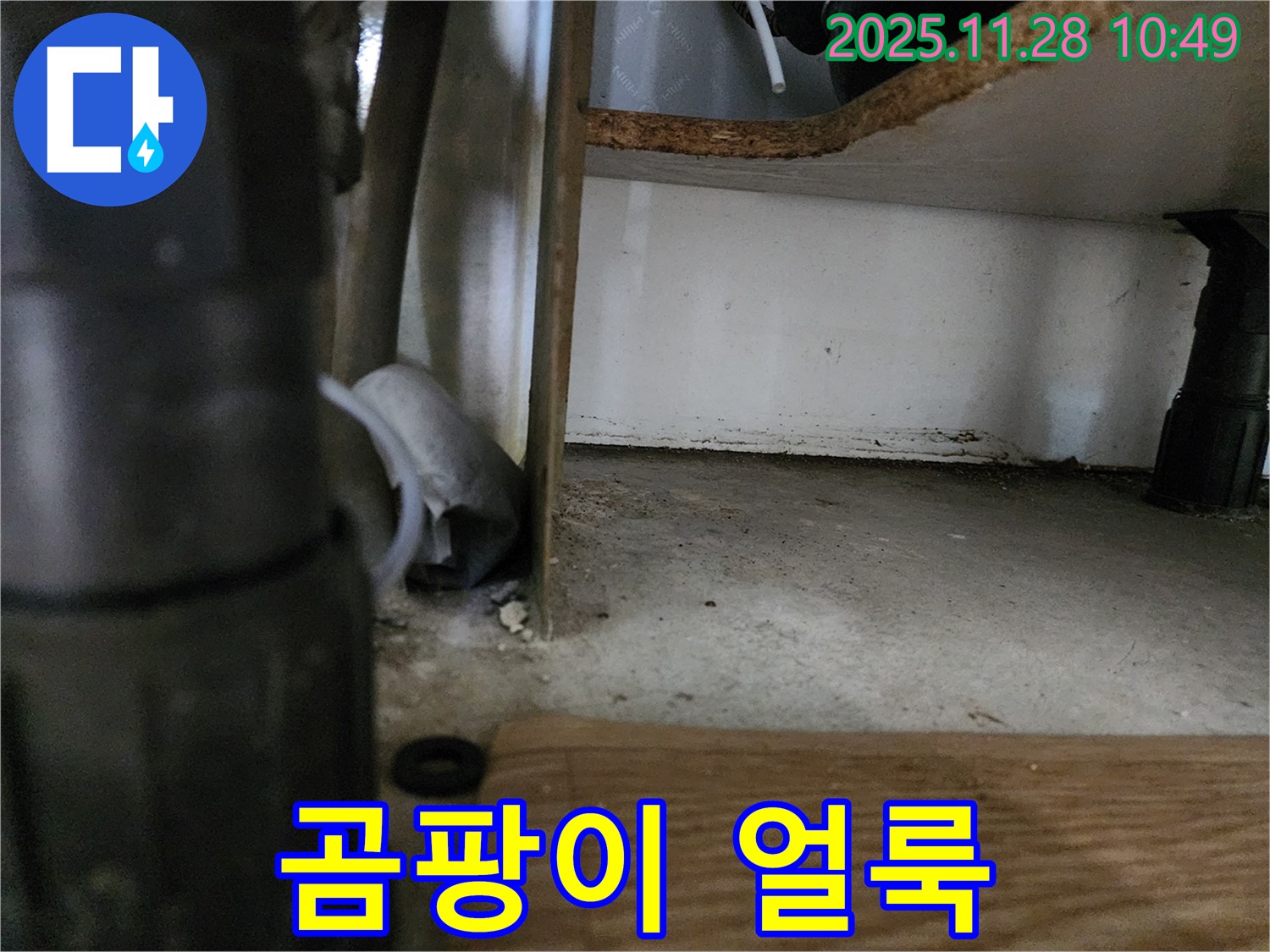 싱크대 하부 - 배수관 곰팡이 얼룩, 습기 - 누수 의심