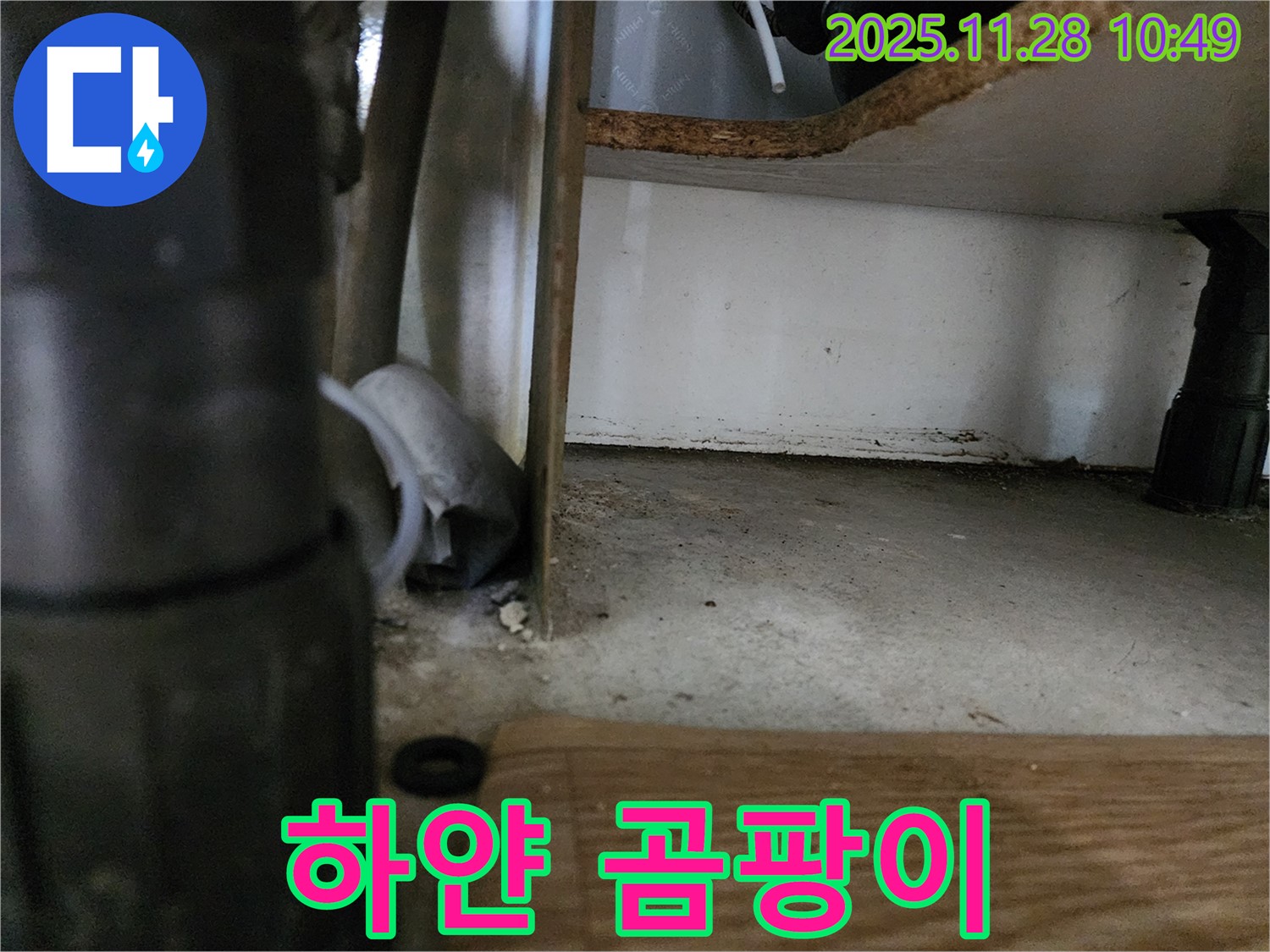 싱크대 하부 - 배수관 주변 하얀 곰팡이 - 심각한 누수 및 오염