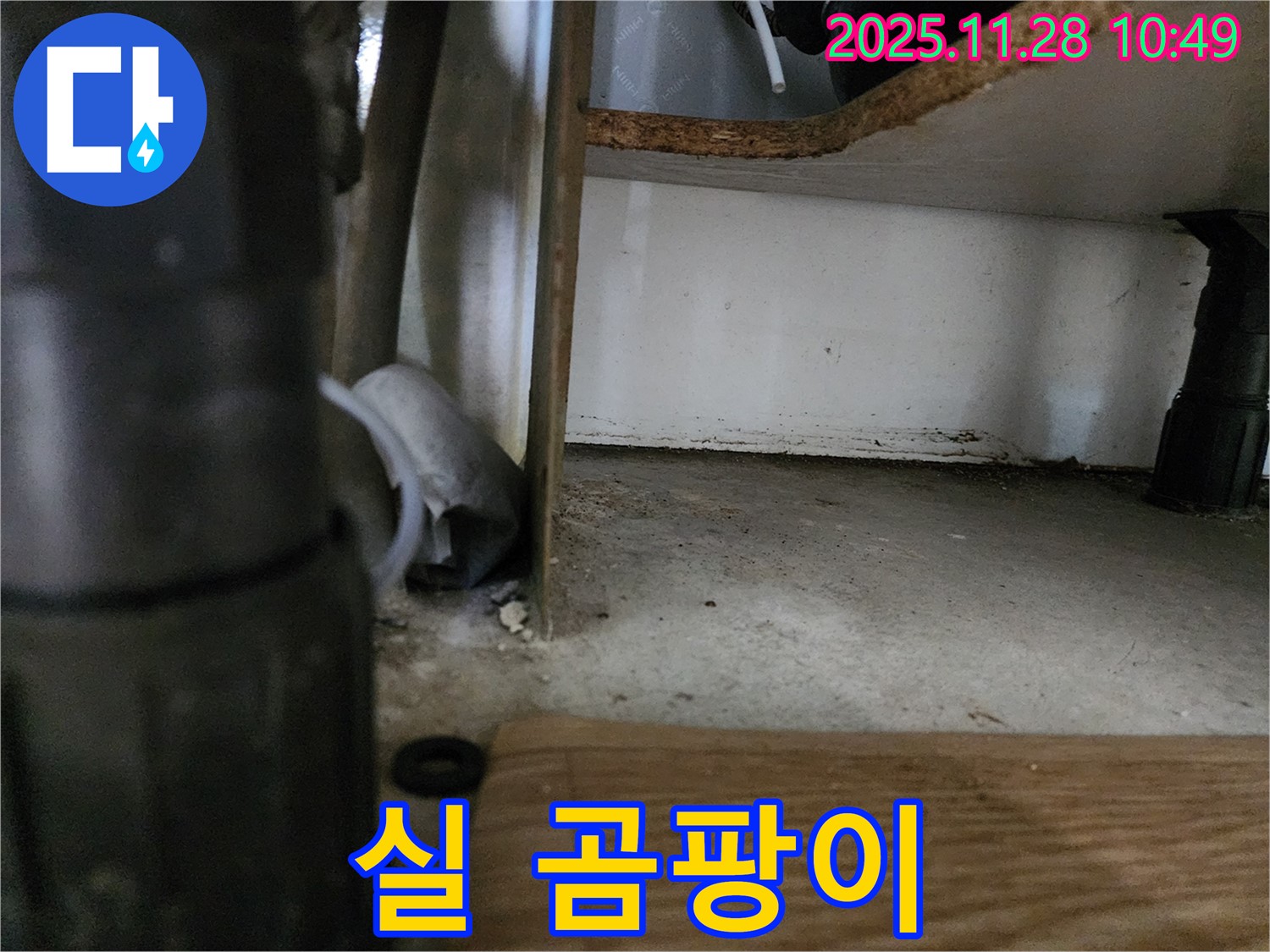 싱크대 하부 - 실 곰팡이 엉킴 - 습도 높음, 누수 의심