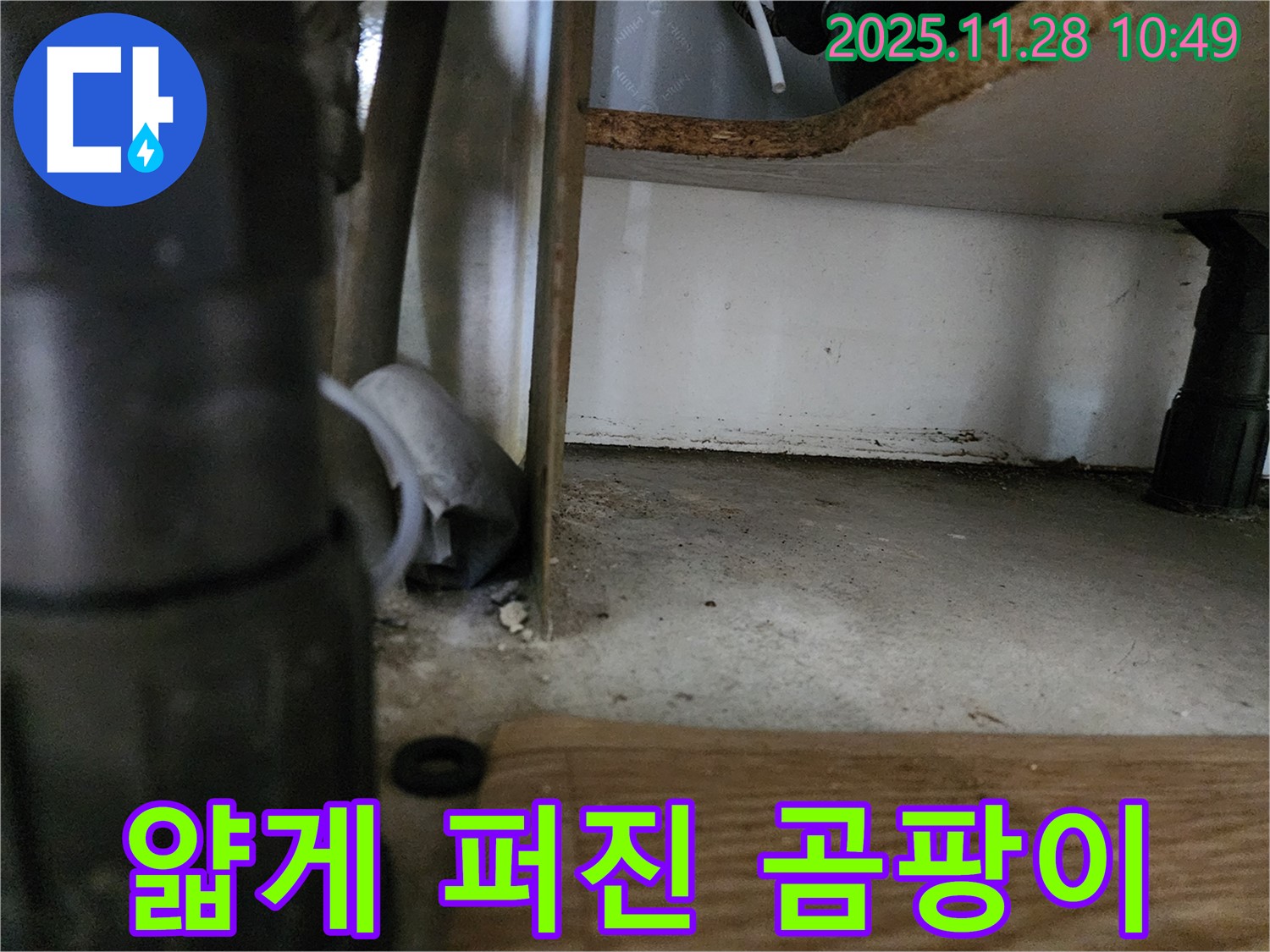 싱크대 하부 - 얇게 퍼진 곰팡이 - 초기 누수 의심