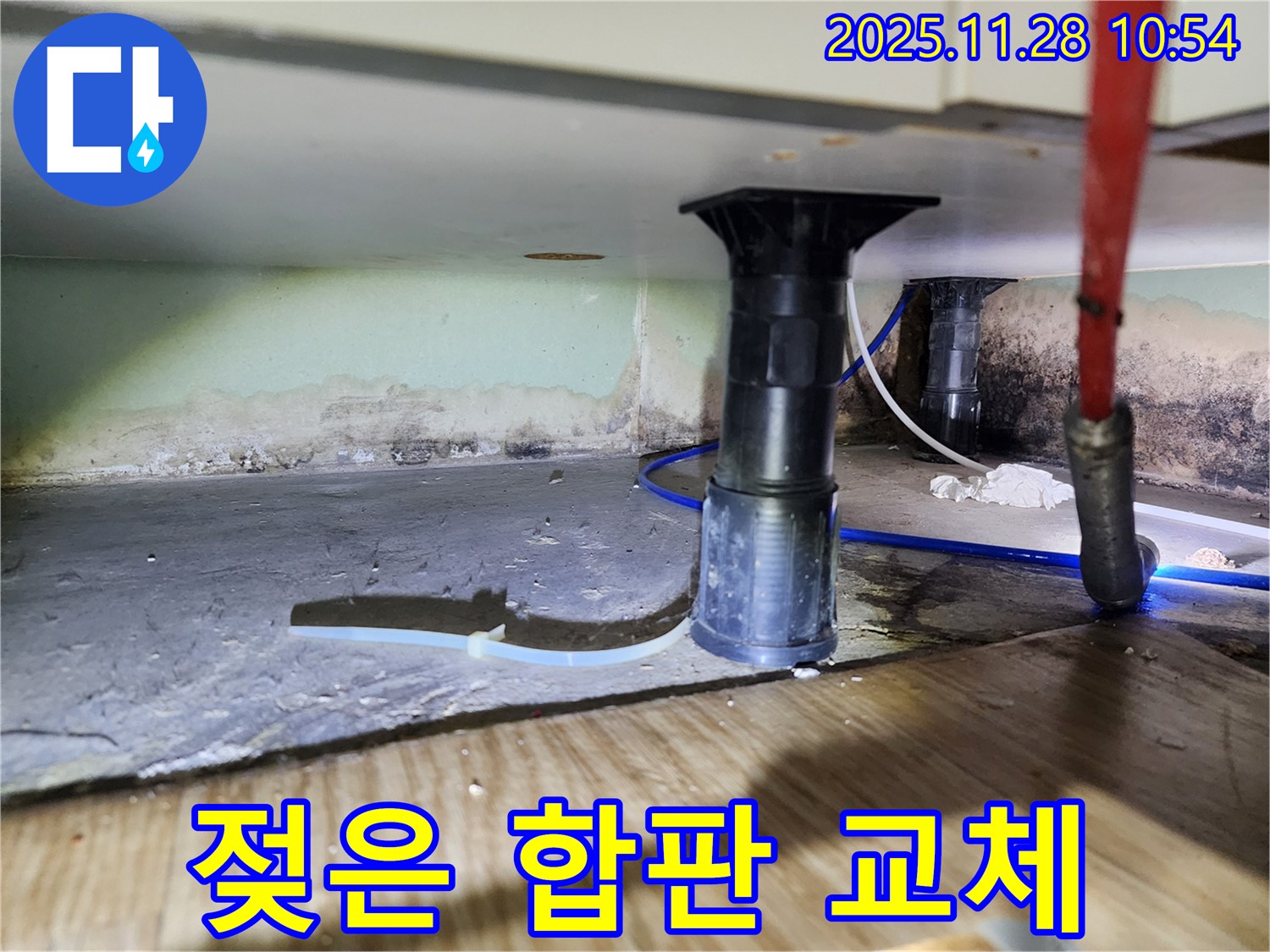 싱크대 하부 젖은 합판 - 곰팡이와 부식