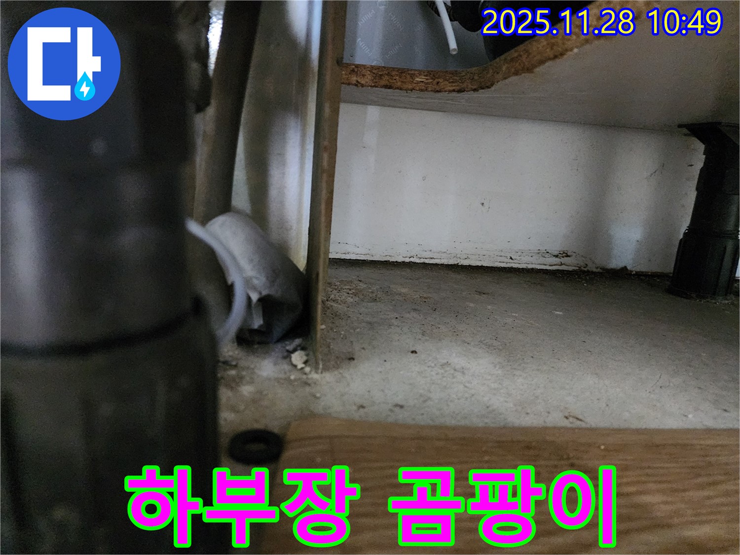 싱크대 하부장 - 곰팡이 발생으로 인한 건강 위협
