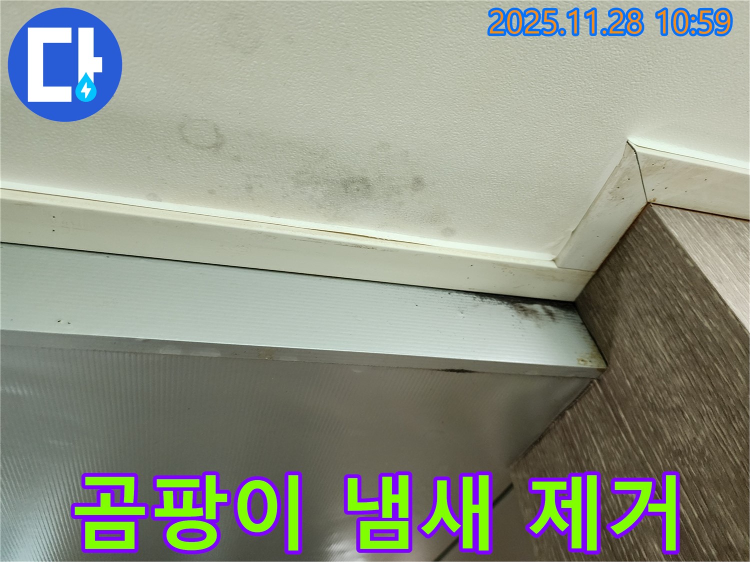 포천 신북면 금동리 누수 - 곰팡이 냄새까지 싹!
