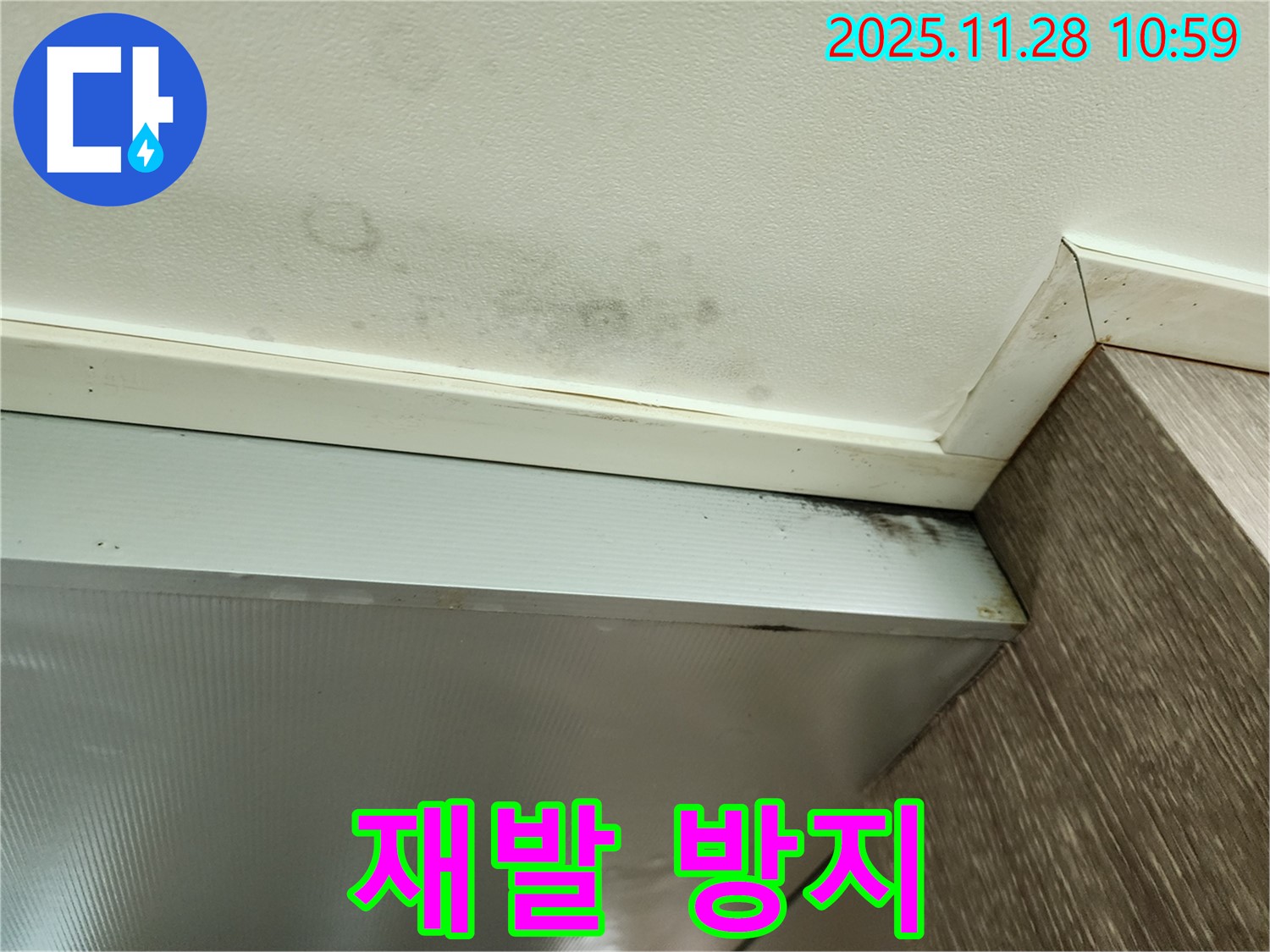 포천 신북면 금동리 누수 - 곰팡이 재발 방지 작업