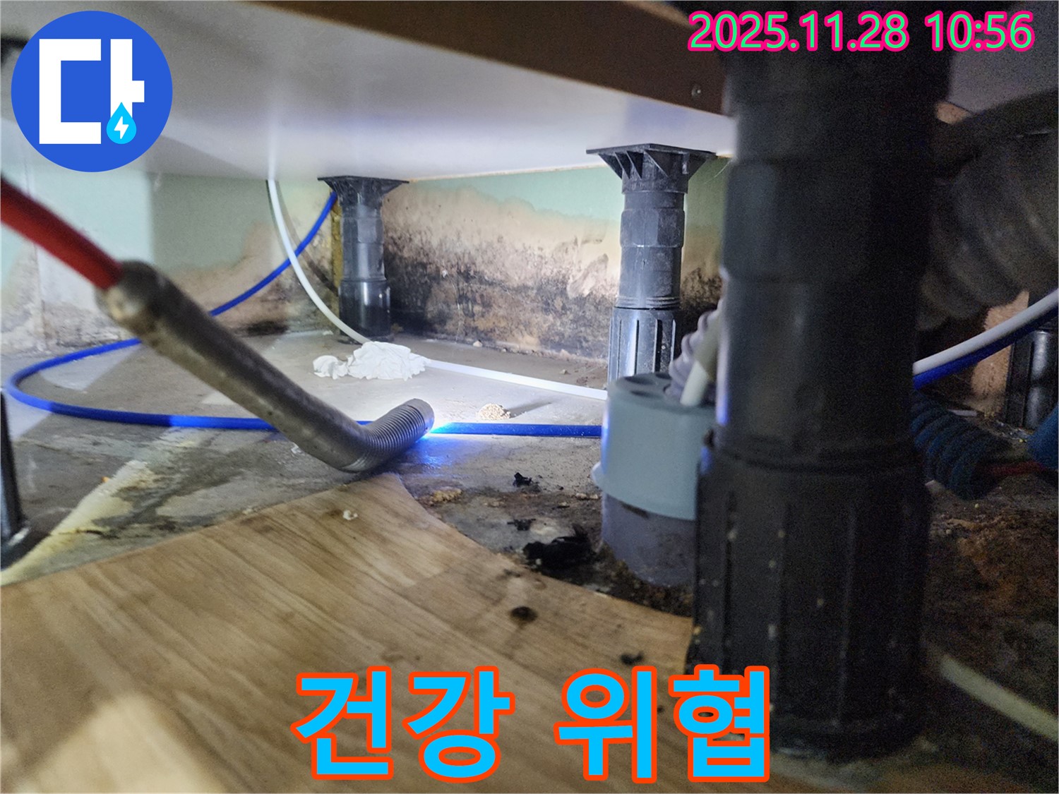 포천 신북면 누수 - 싱크대 아래 곰팡이 위협