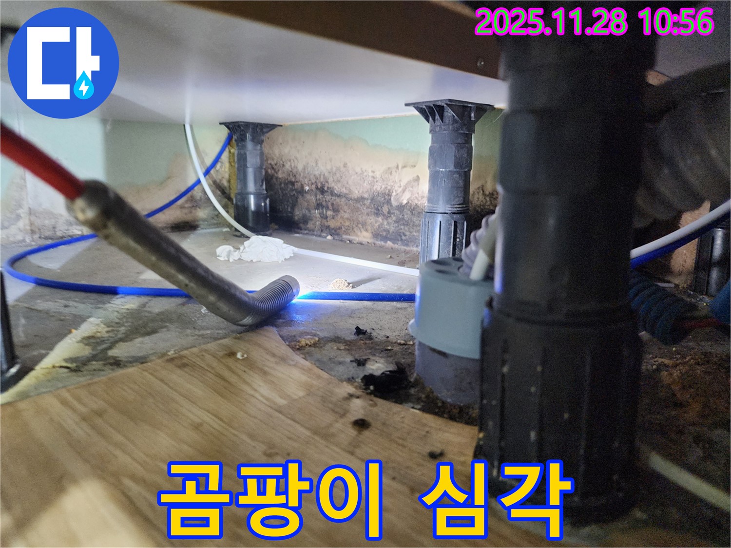 포천 신북면 누수 - 싱크대 하부 곰팡이 오염 심각