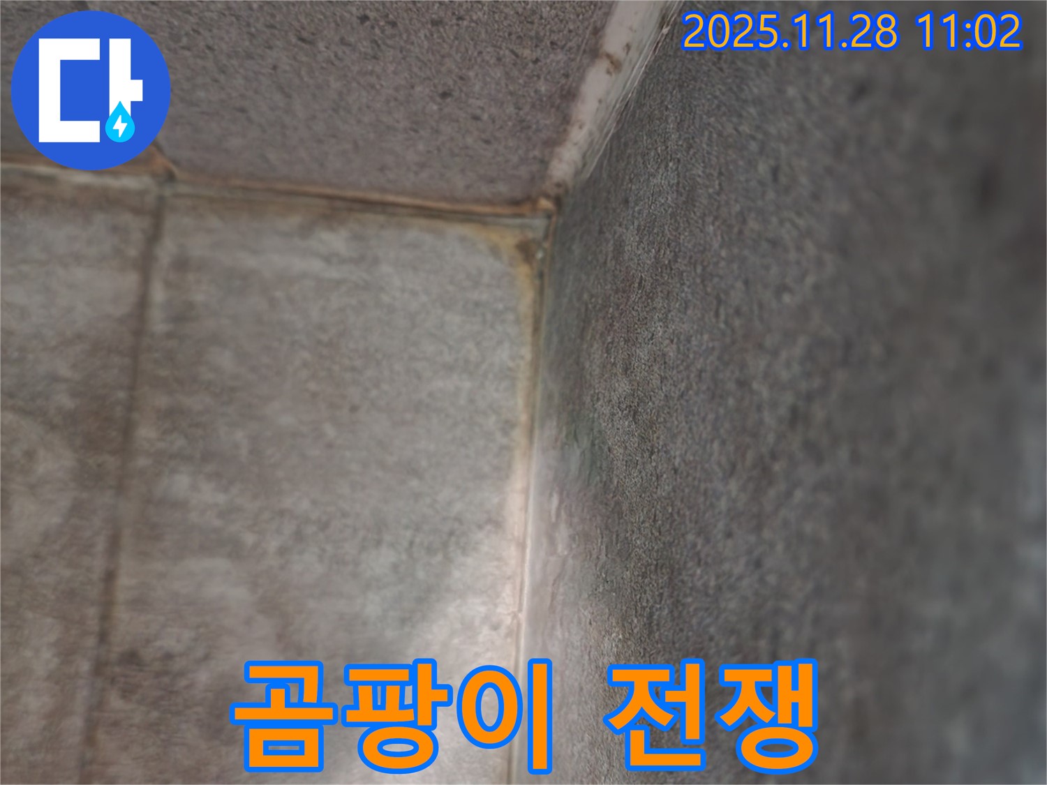 포천시 욕실 누수 - 곰팡이 전쟁, 쾌적 변신