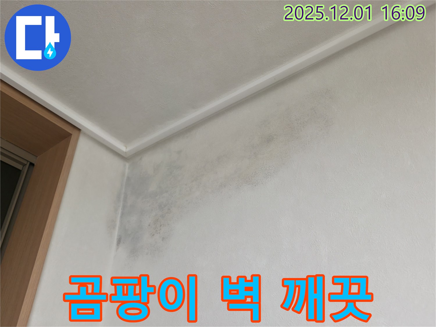 곰팡이 벽 - 전문가 손길 - 기흥역로 곰팡이 누수