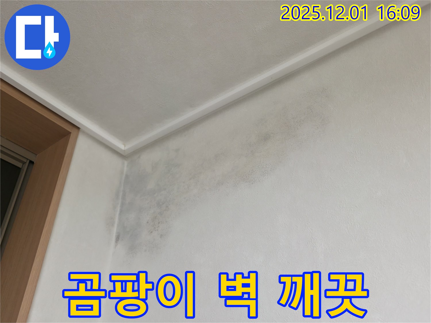 곰팡이 벽 - 전문가 손길 - 용인 기흥 곰팡이