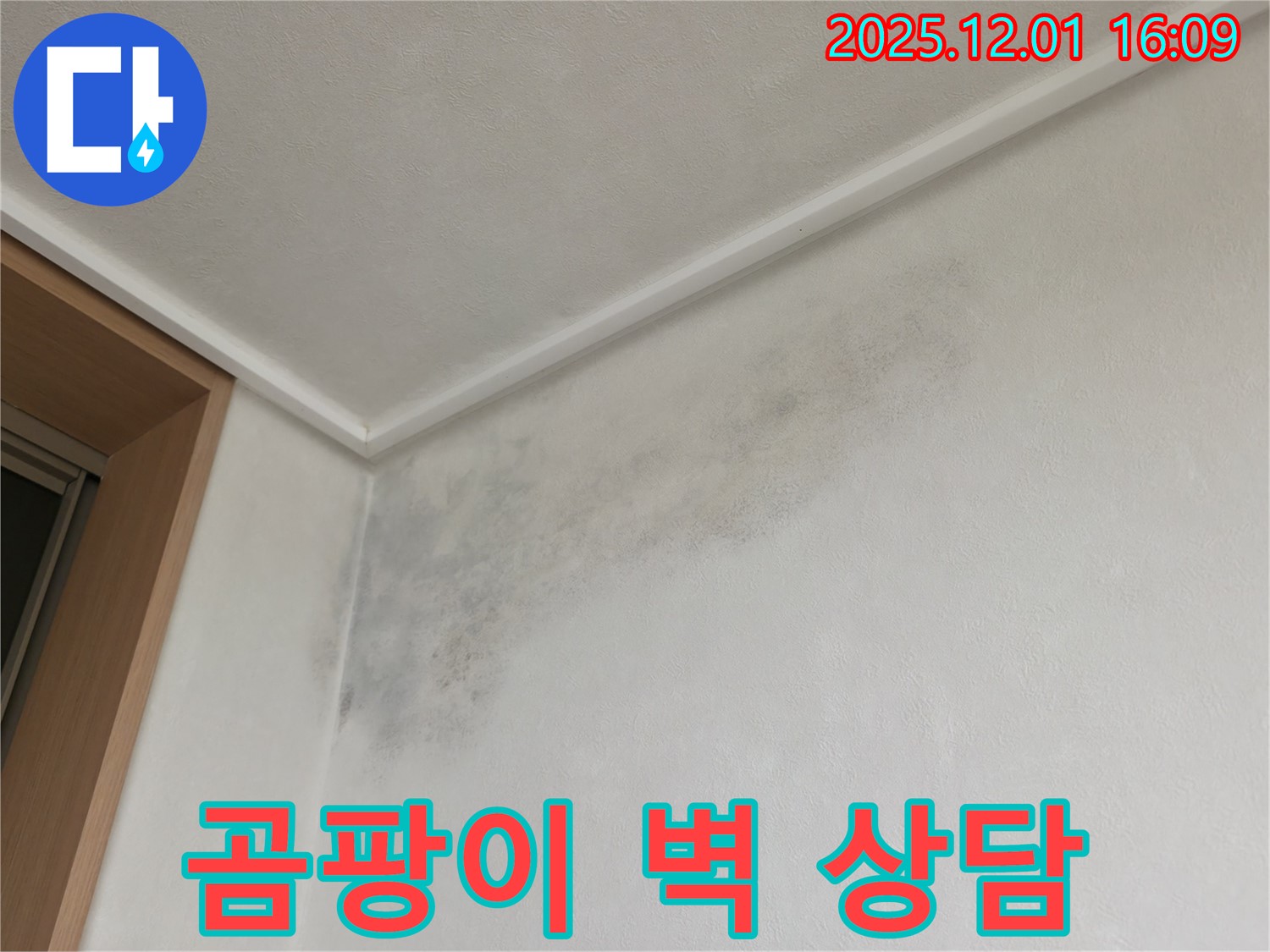 곰팡이 벽 - 친절 상담 - 구갈동 누수탐지
