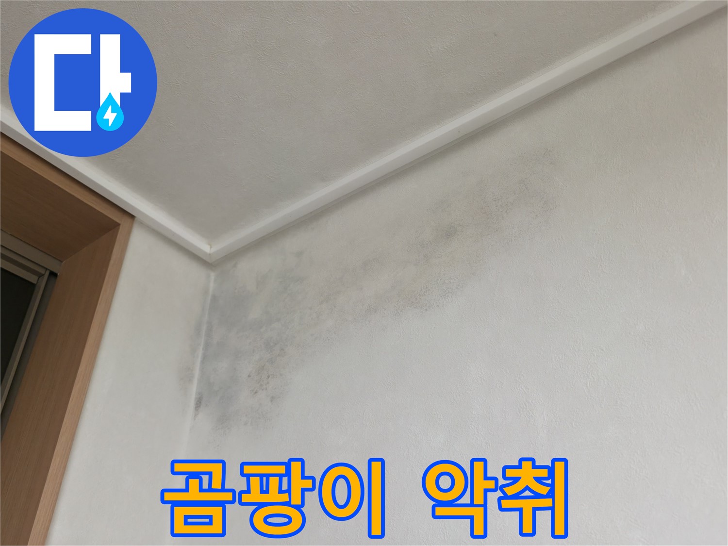 기흥역 더퍼스트푸르지오 아파트 누수 - 곰팡이로 인한 악취 발생