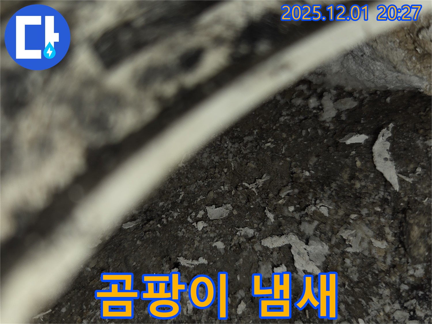 동탄 모아미래도 아파트 누수 - 배관 주변 곰팡이 냄새 진동