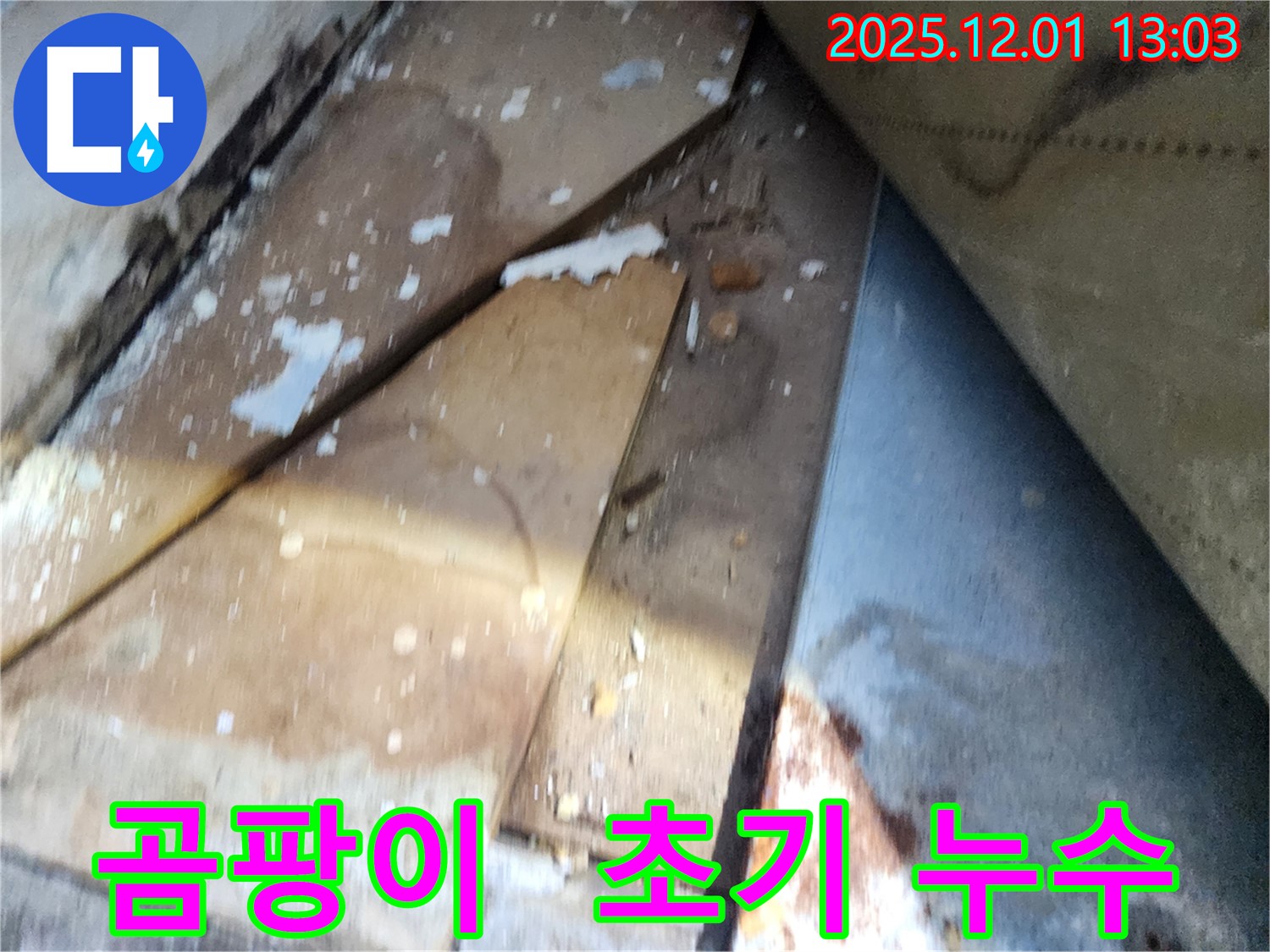 수원 장안구 율전동 삼성아파트 - 곰팡이 발생 초기 누수 현장