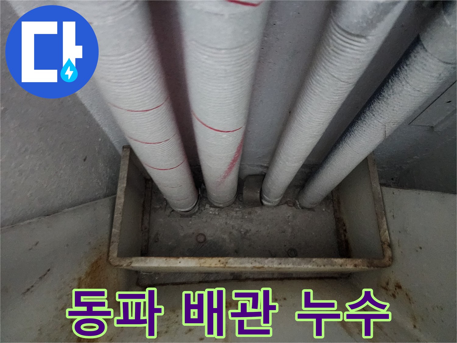 장안구 아파트 누수 - 겨울철 동파로 인한 배관 누수, 확실한 해결