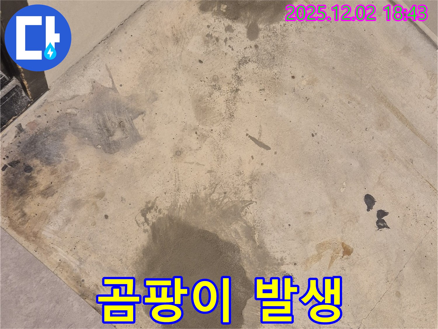 광진구 누수 - 누수로 인한 곰팡이 발생