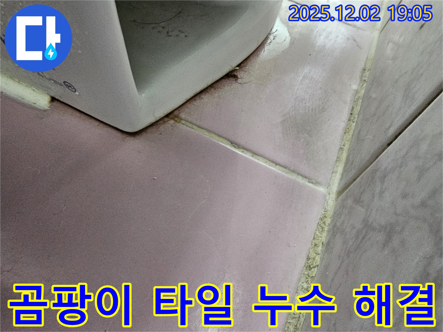 곰팡이 핀 타일 - 동작구 누수 해결사가 누수 문제 해결