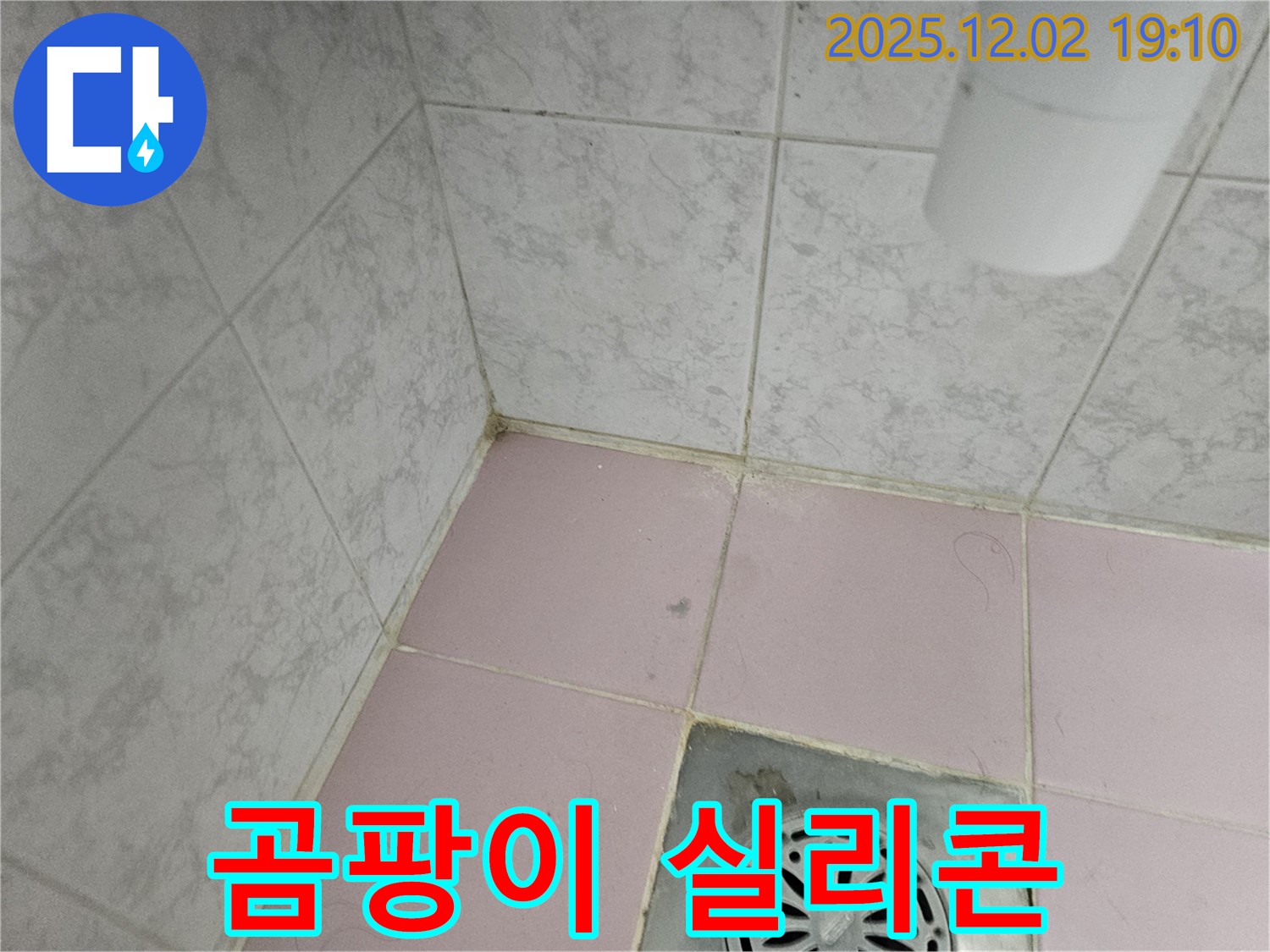 동작구 욕실 - 곰팡이 제거 후 실리콘 재시공은 필수적인 선택일까요?