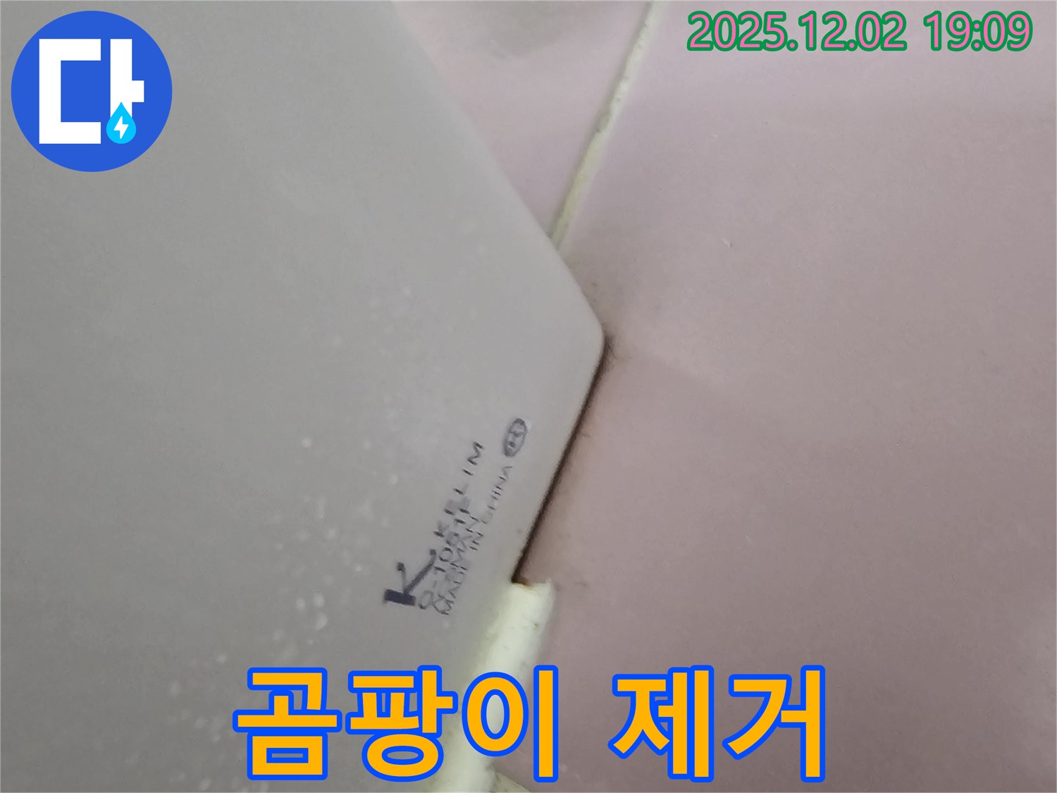 백시멘트 오염 - 곰팡이 제거 후 재시공 완료!