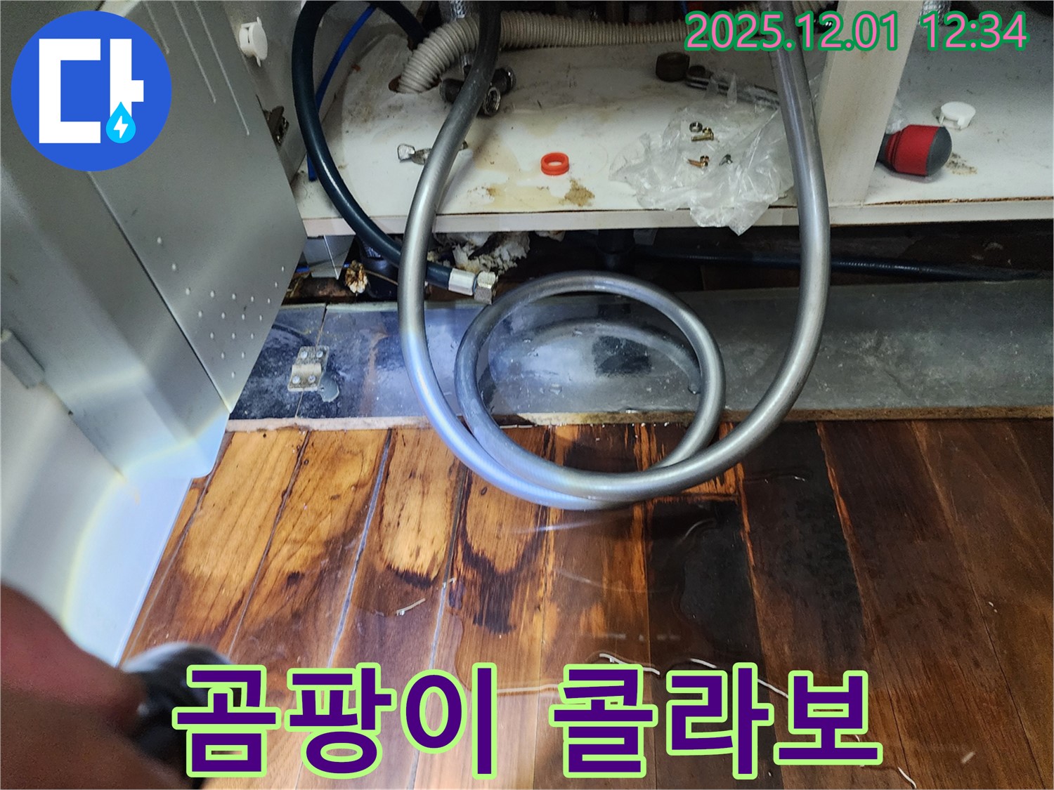 포천 누수 - 싱크대 연결 부위 부식, 마루 들뜸과 곰팡이 콜라보레이션 발생