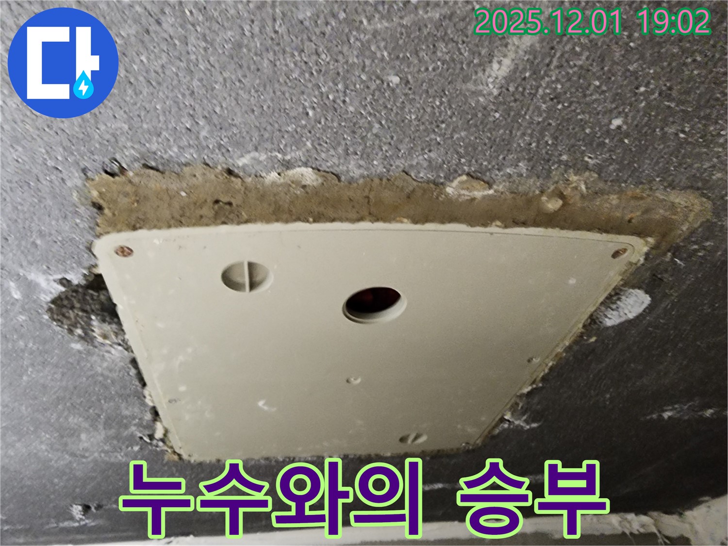 이동면 연곡리 천장 누수 - 점검구 주변 누수와의 한판 승부를 시작합니다!