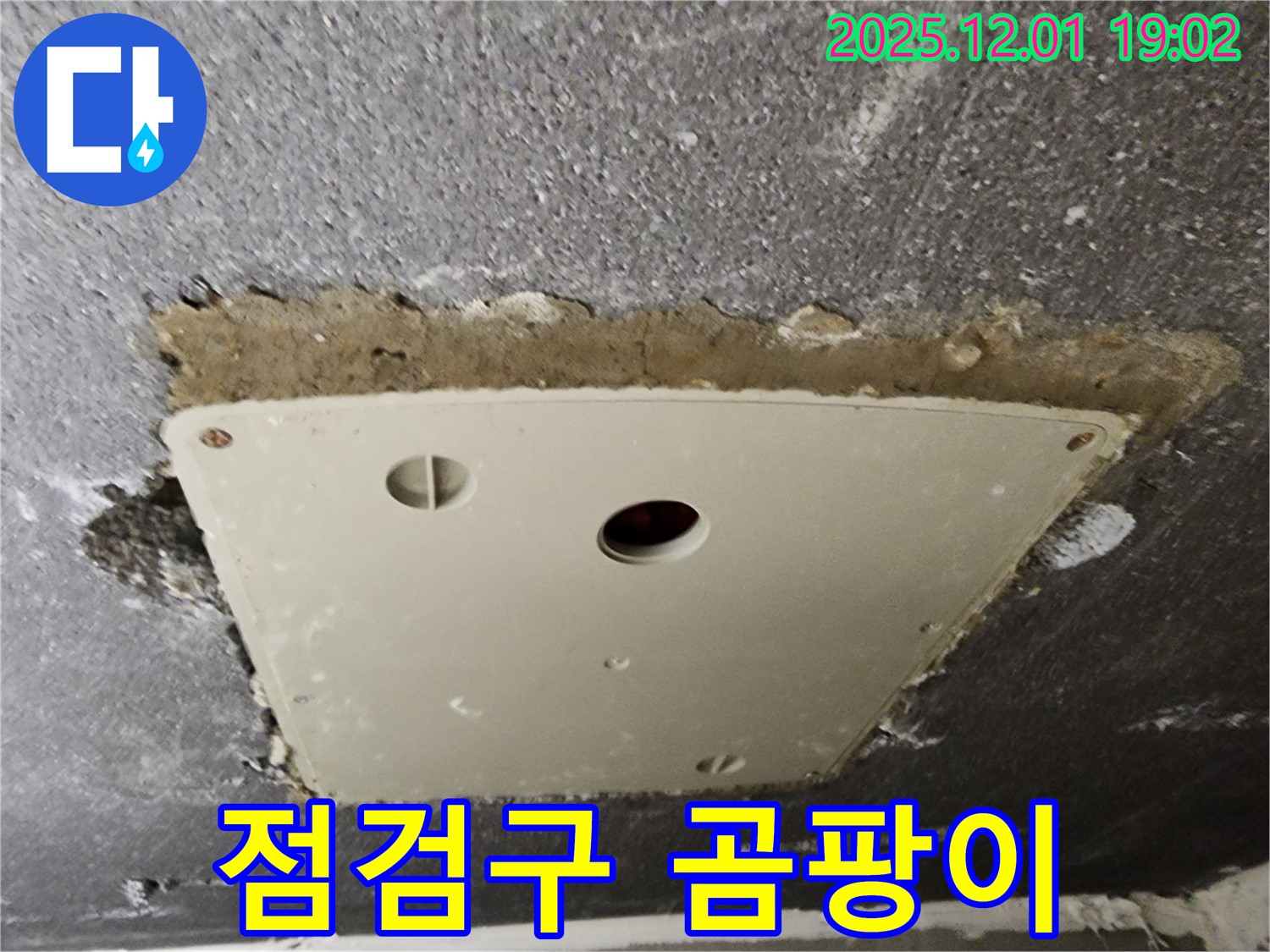 이동면 연곡리 천장 점검구 - 곰팡이가 심각하게 발생한 모습입니다.