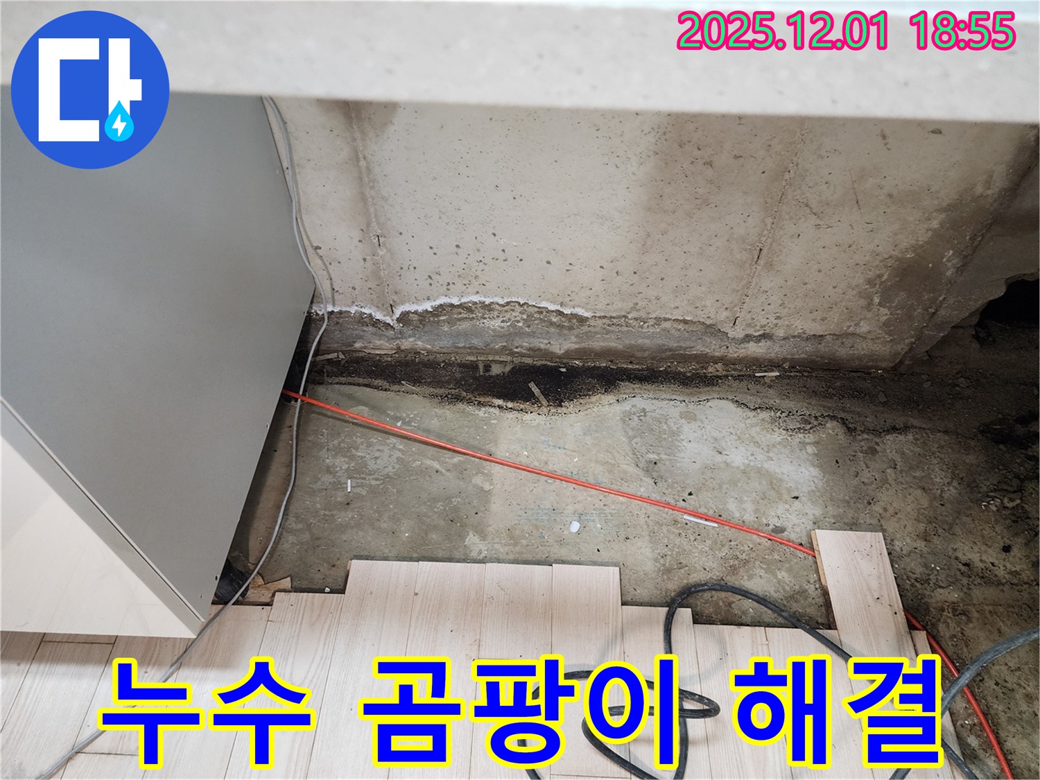 포천시 이동면 연곡리 싱크대 누수 - 곰팡이 문제 해결 과정 상세 공개