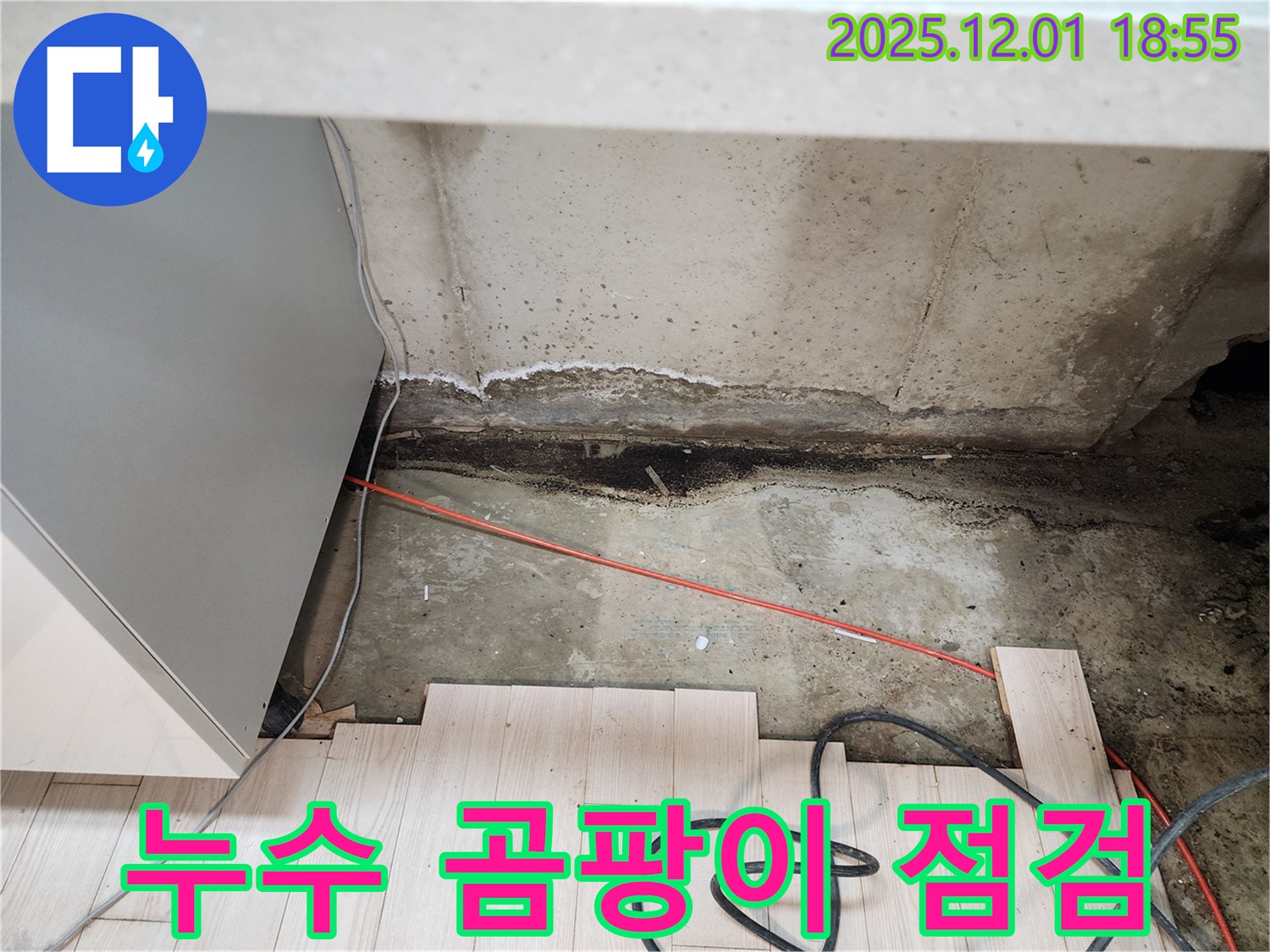 포천시 이동면 연곡리 싱크대 누수 - 곰팡이와 누수 긴급 상황 점검